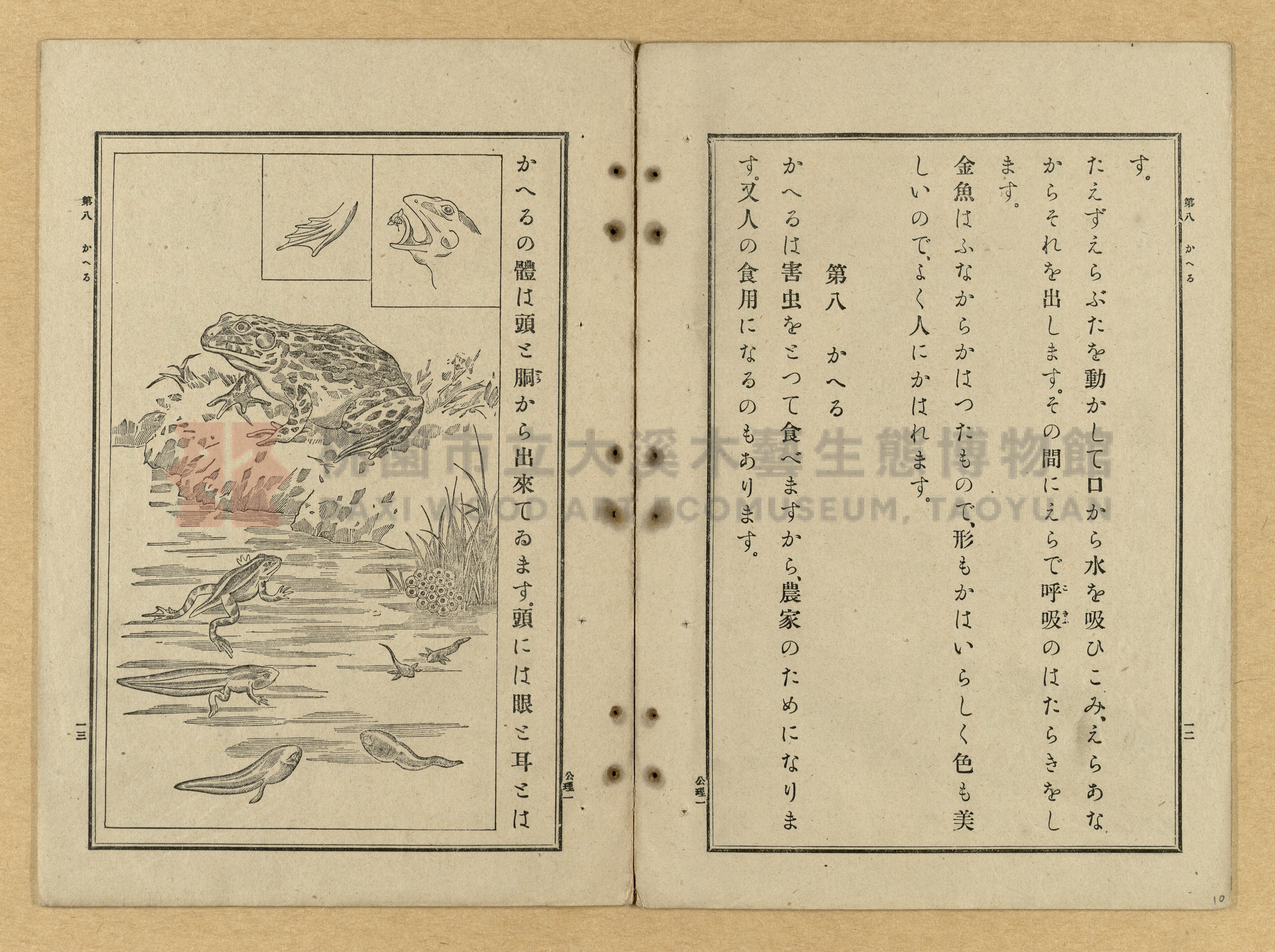 《公學校理科書》卷一主題的圖片縮圖第10張