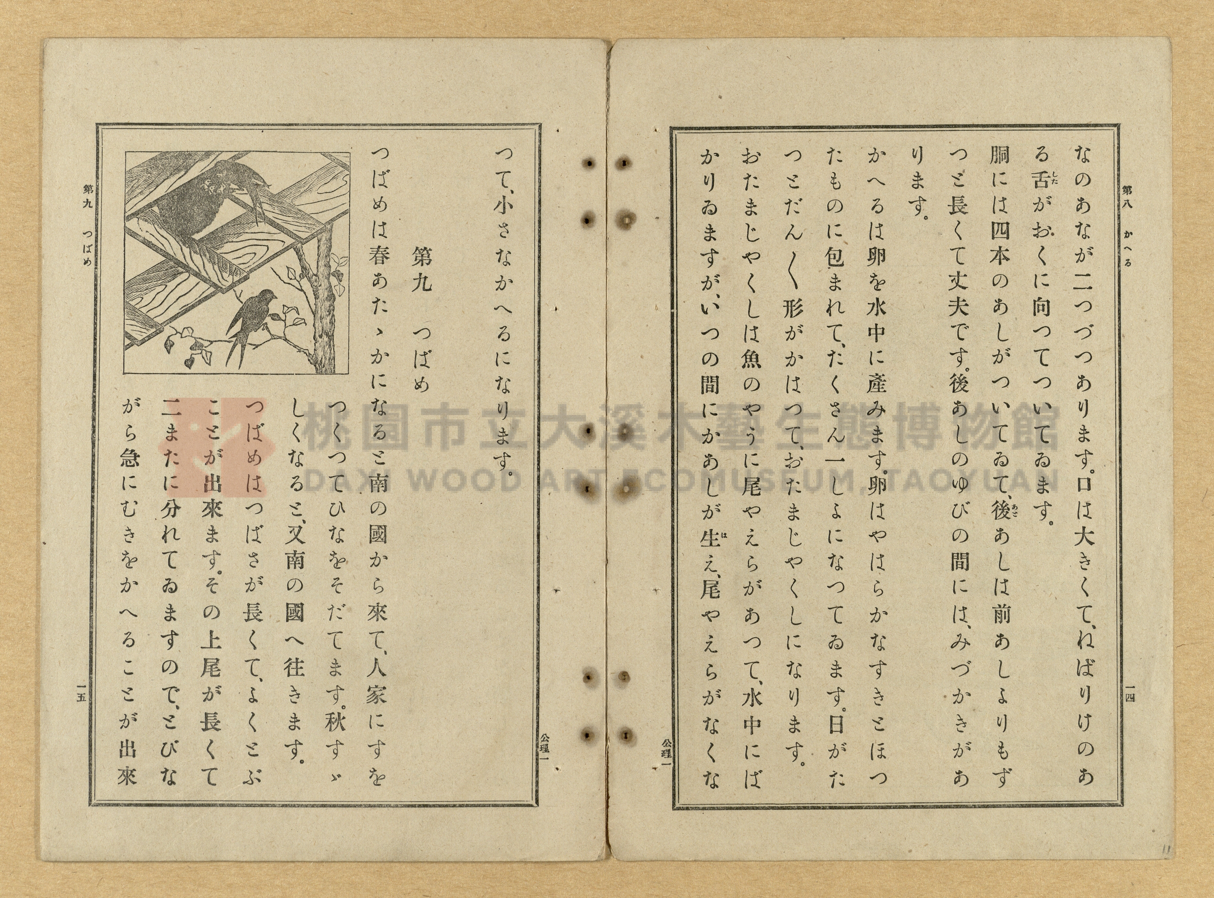 《公學校理科書》卷一主題的圖片縮圖第11張