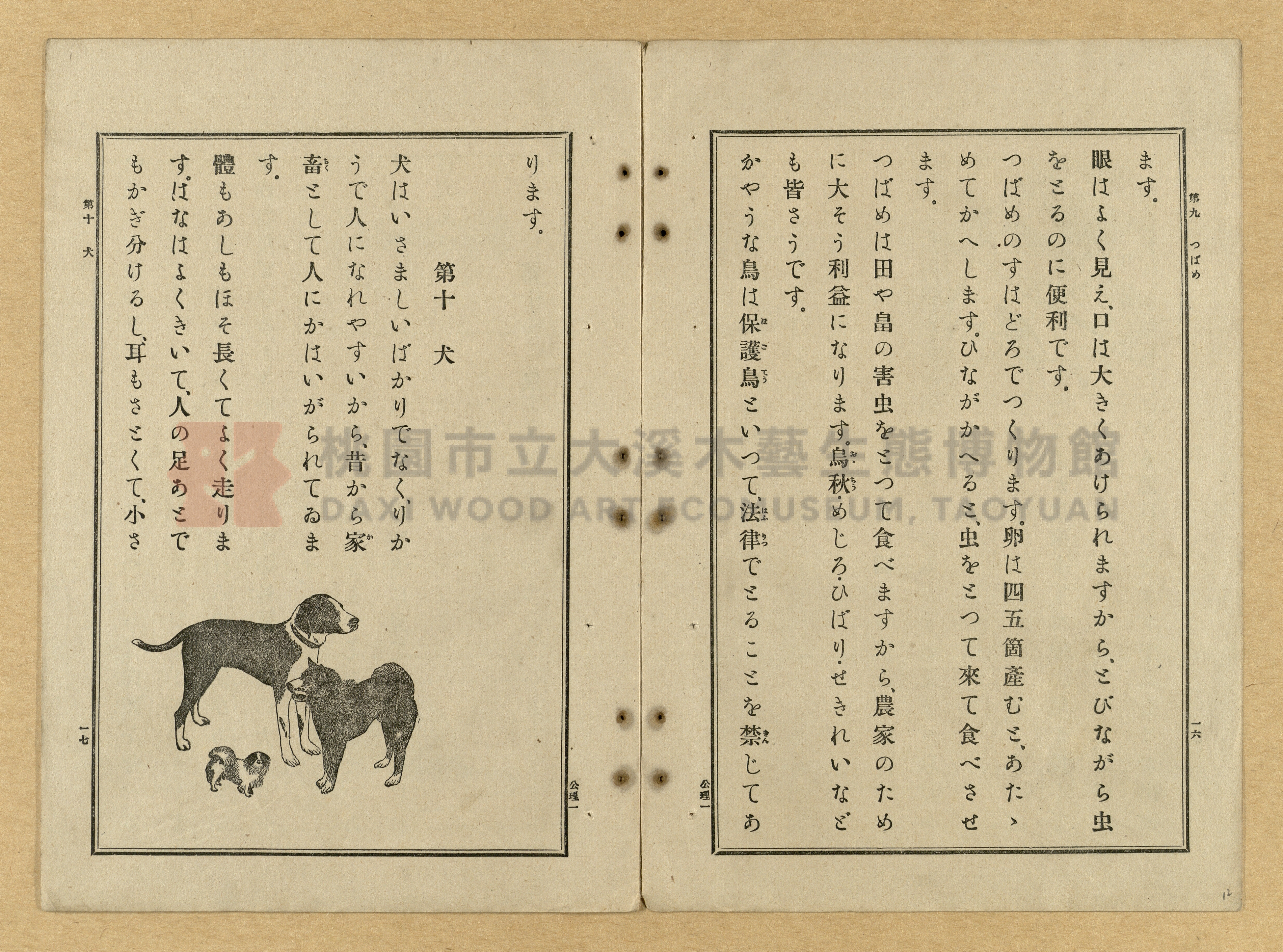 《公學校理科書》卷一主題的圖片縮圖第12張