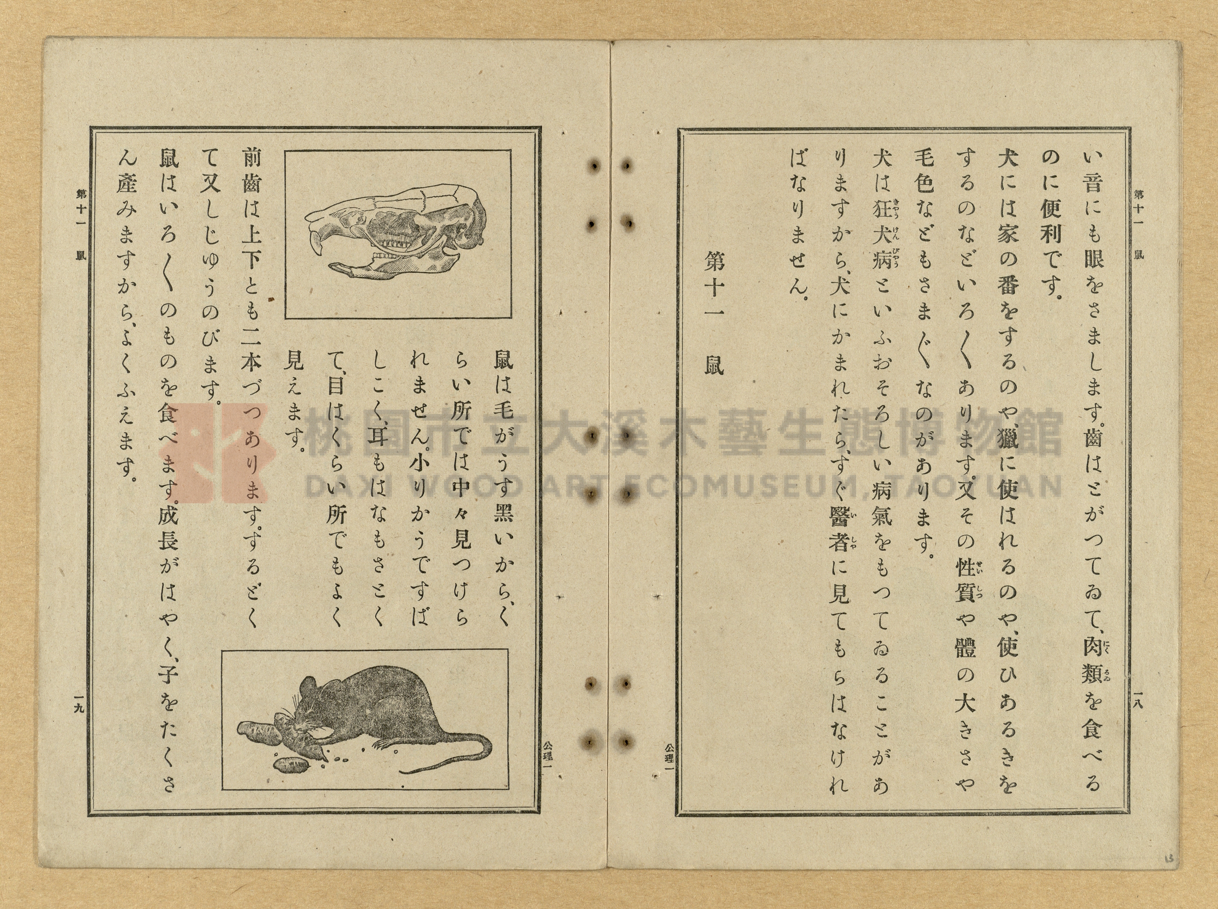 《公學校理科書》卷一主題的圖片縮圖第13張