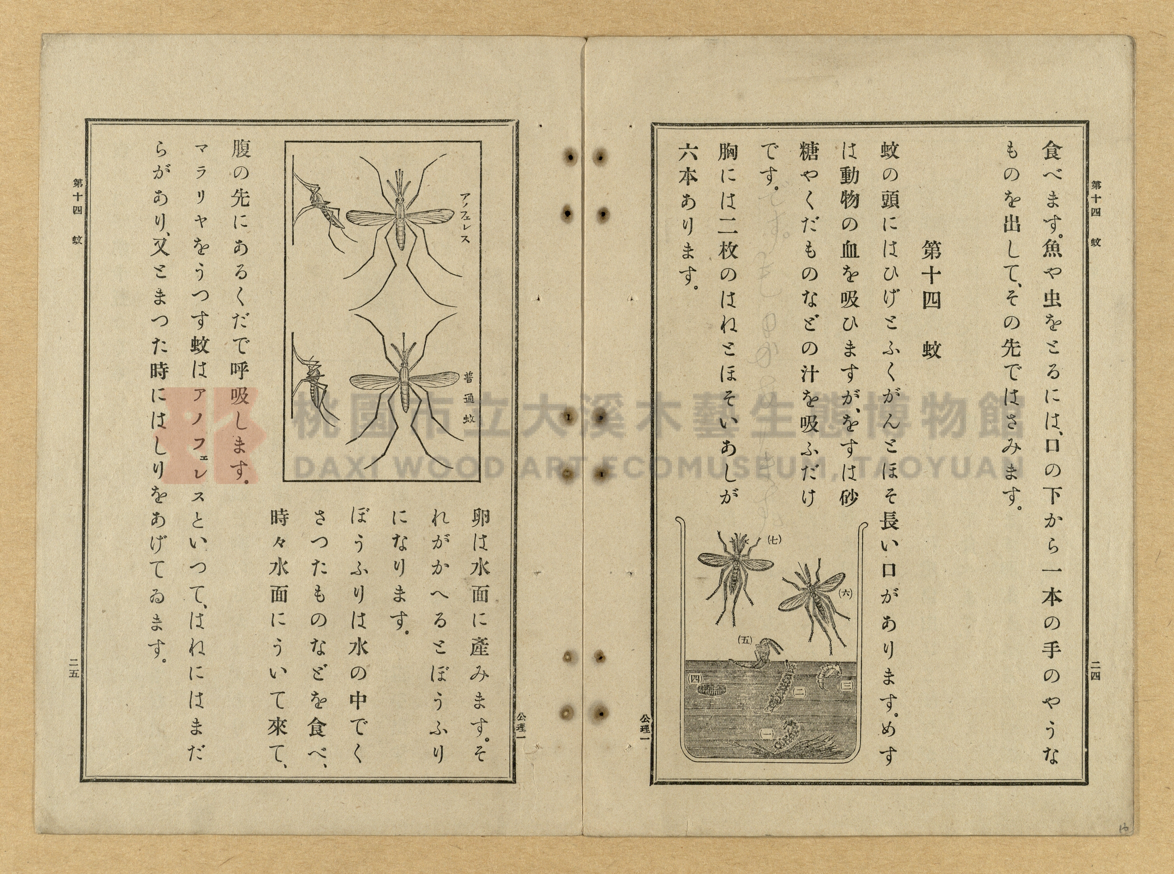 《公學校理科書》卷一主題的圖片縮圖第16張
