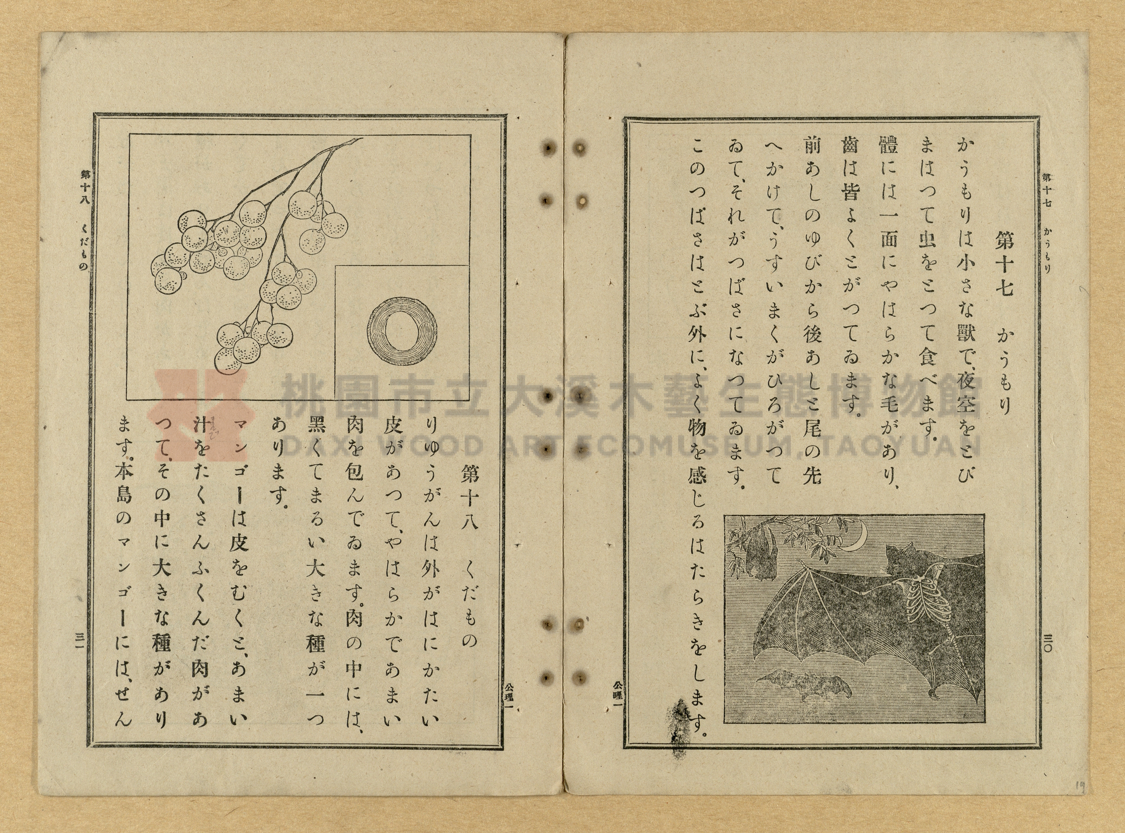 《公學校理科書》卷一主題的圖片縮圖第19張