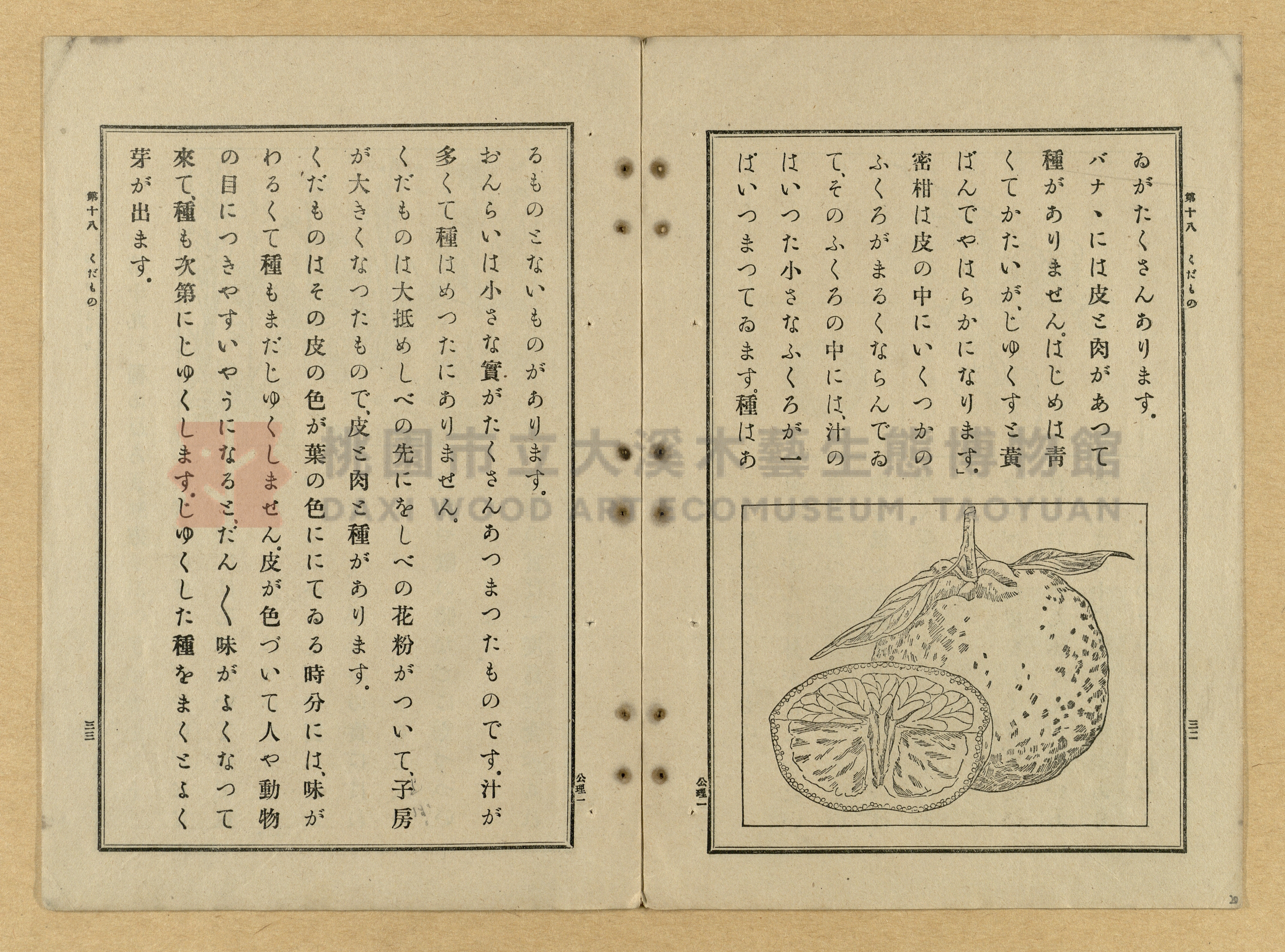 《公學校理科書》卷一主題的圖片縮圖第20張