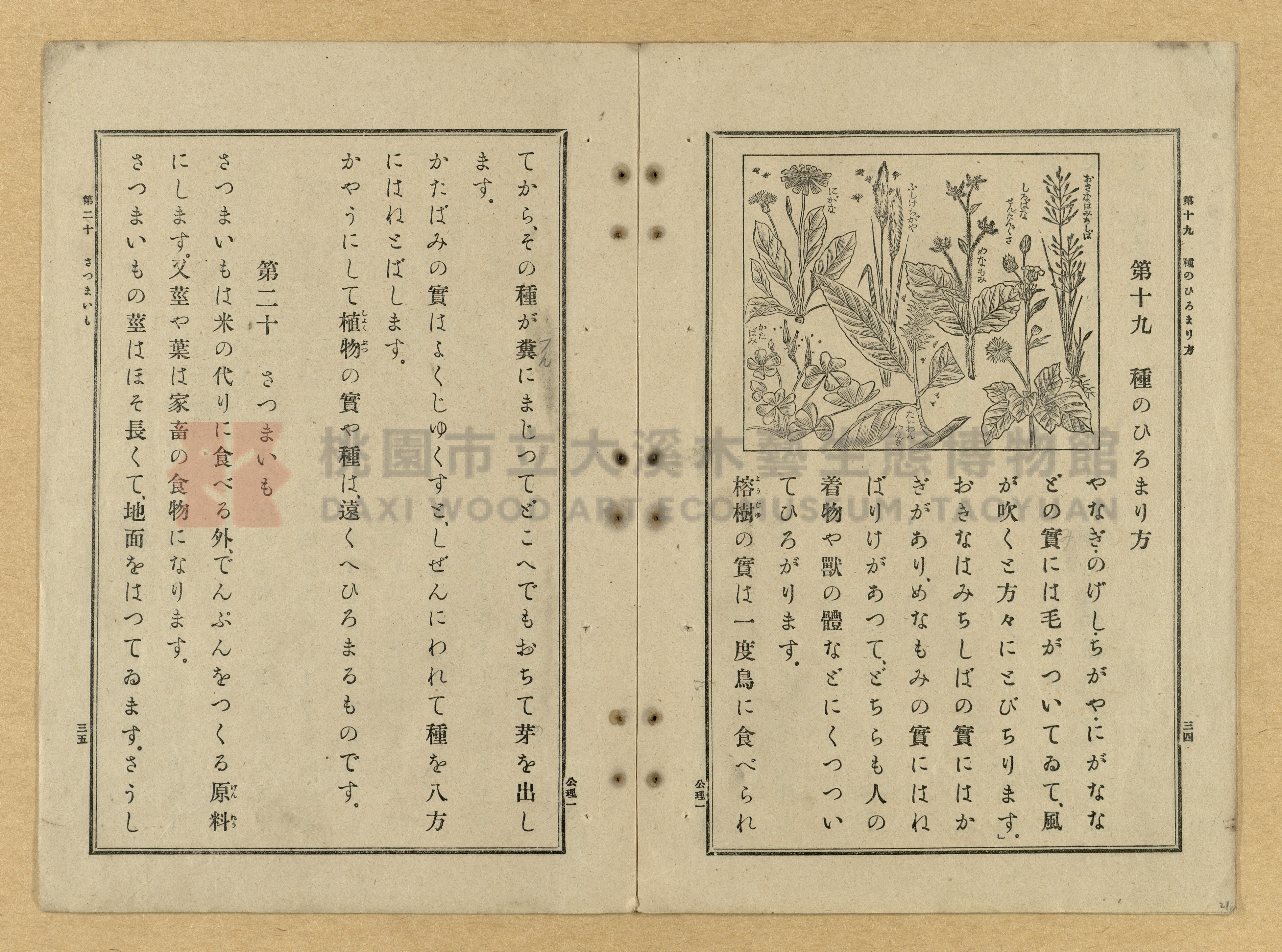 《公學校理科書》卷一主題的圖片縮圖第21張