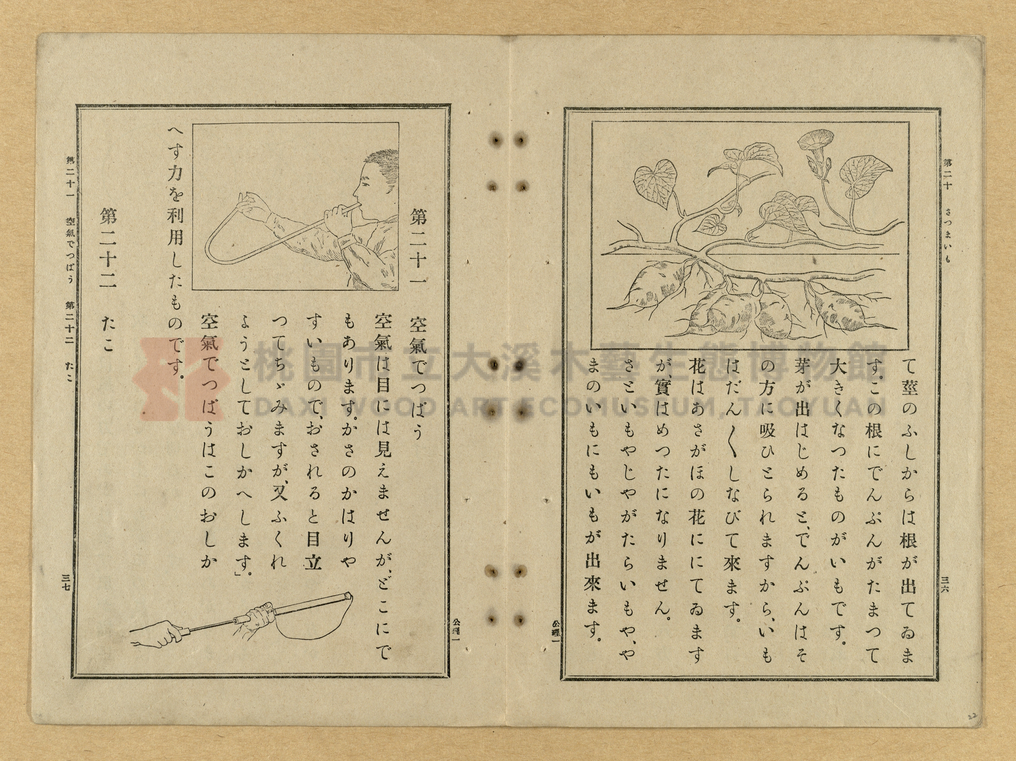 《公學校理科書》卷一主題的圖片縮圖第22張