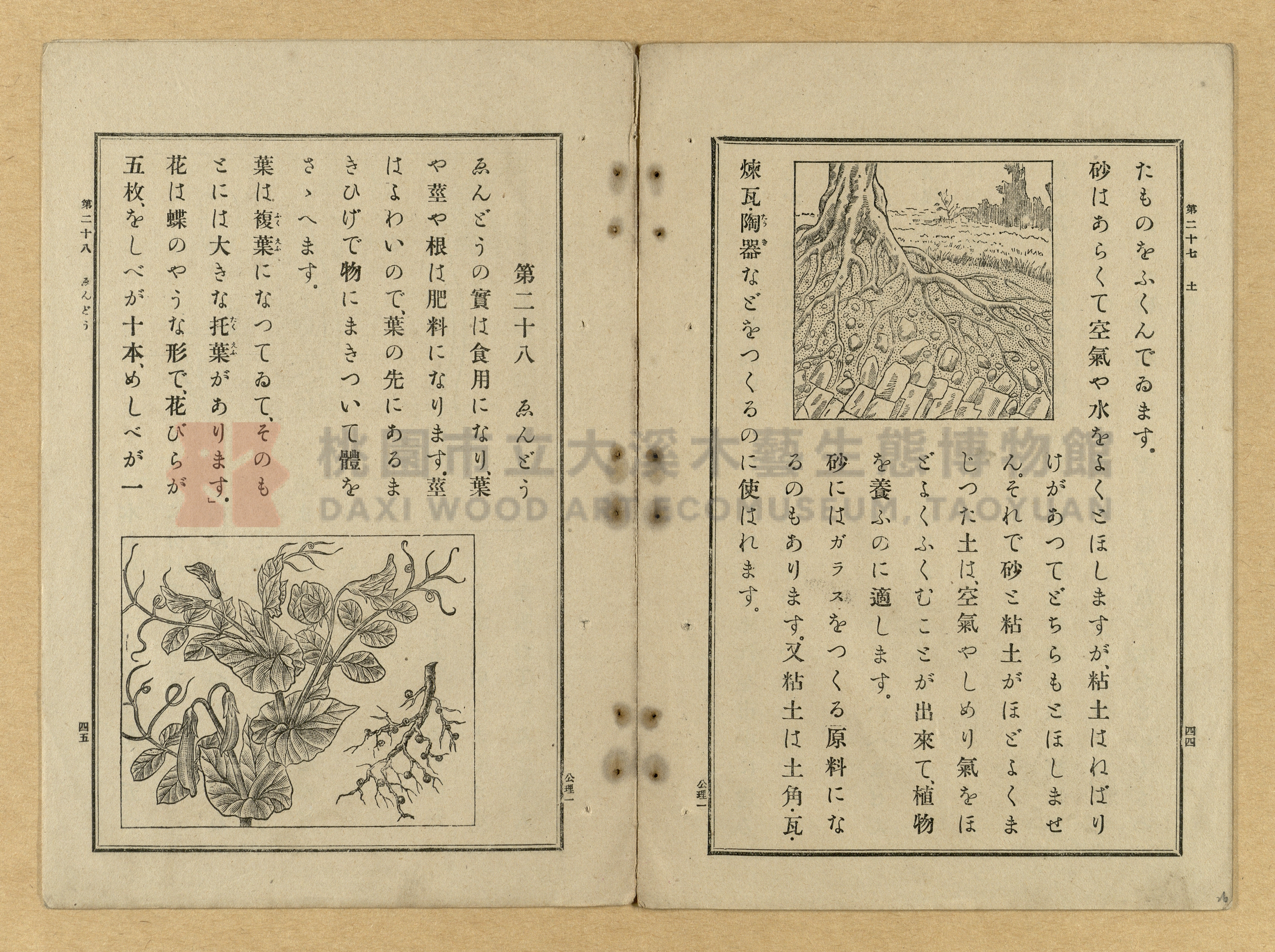 《公學校理科書》卷一主題的圖片縮圖第26張