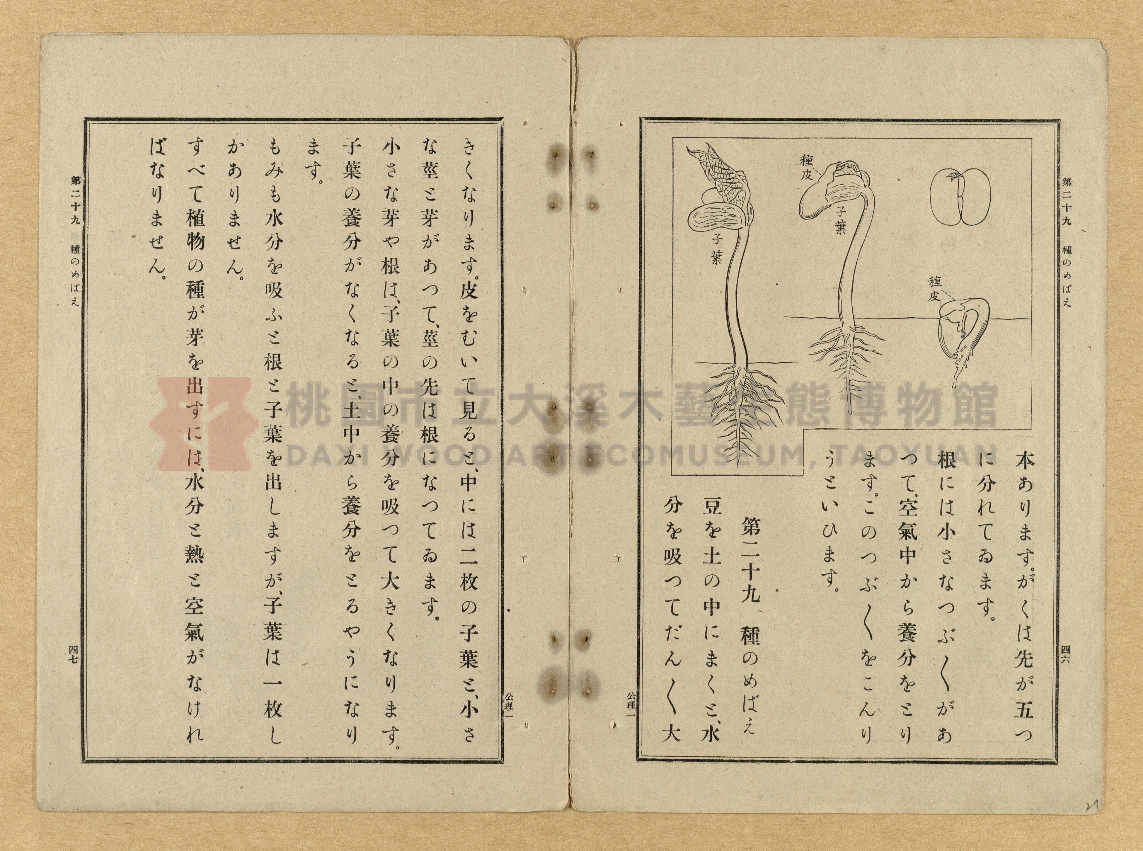 《公學校理科書》卷一主題的圖片縮圖第27張