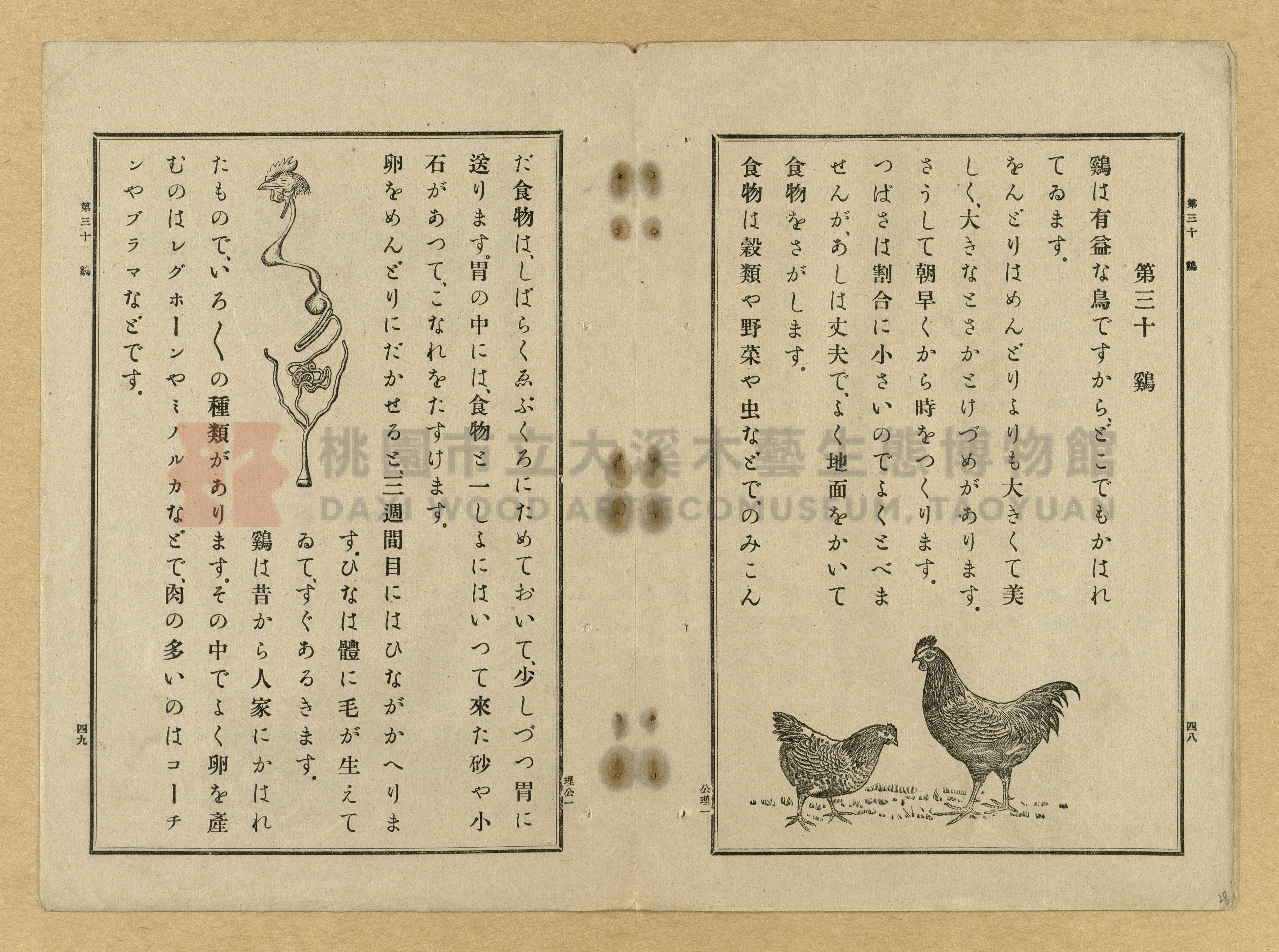 《公學校理科書》卷一主題的圖片縮圖第28張