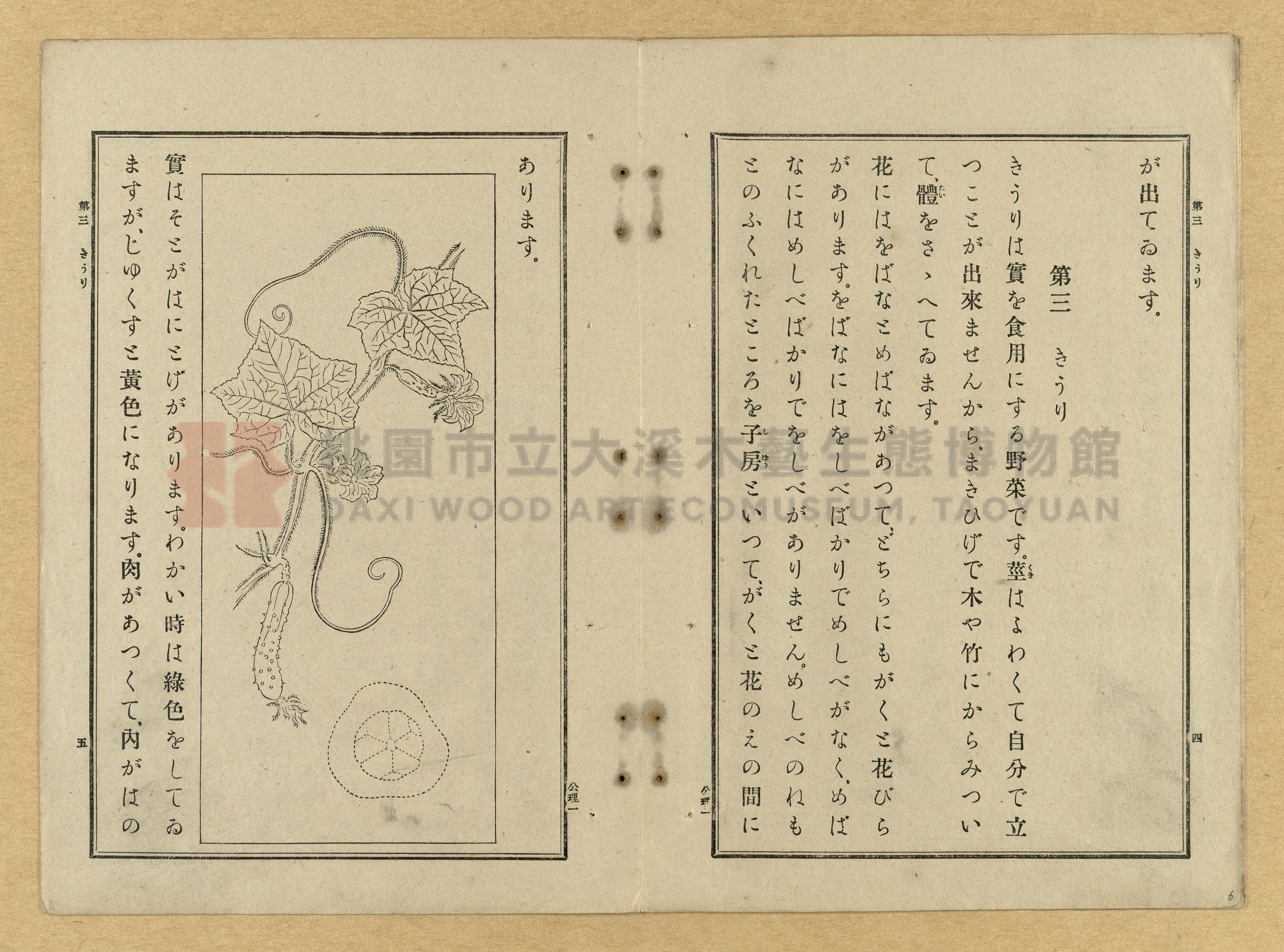 《公學校理科書》卷一主題的圖片縮圖第6張