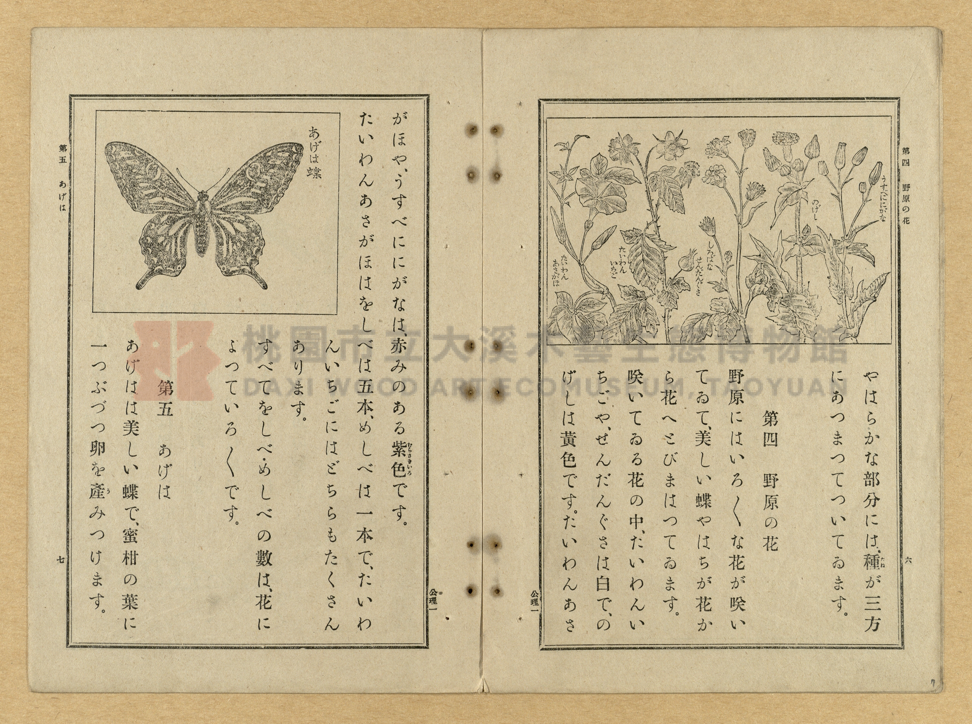《公學校理科書》卷一主題的圖片縮圖第7張