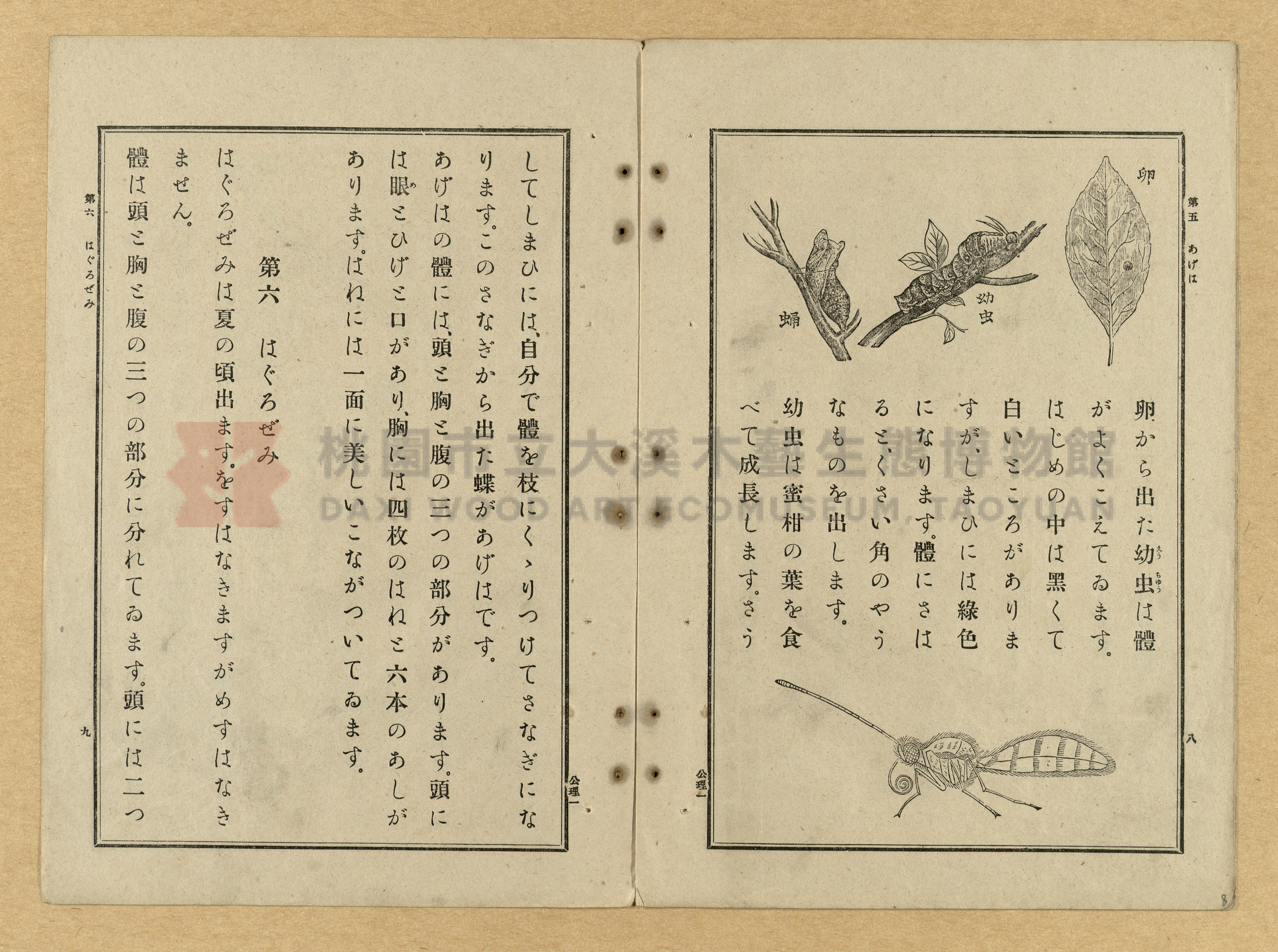 《公學校理科書》卷一主題的圖片縮圖第8張
