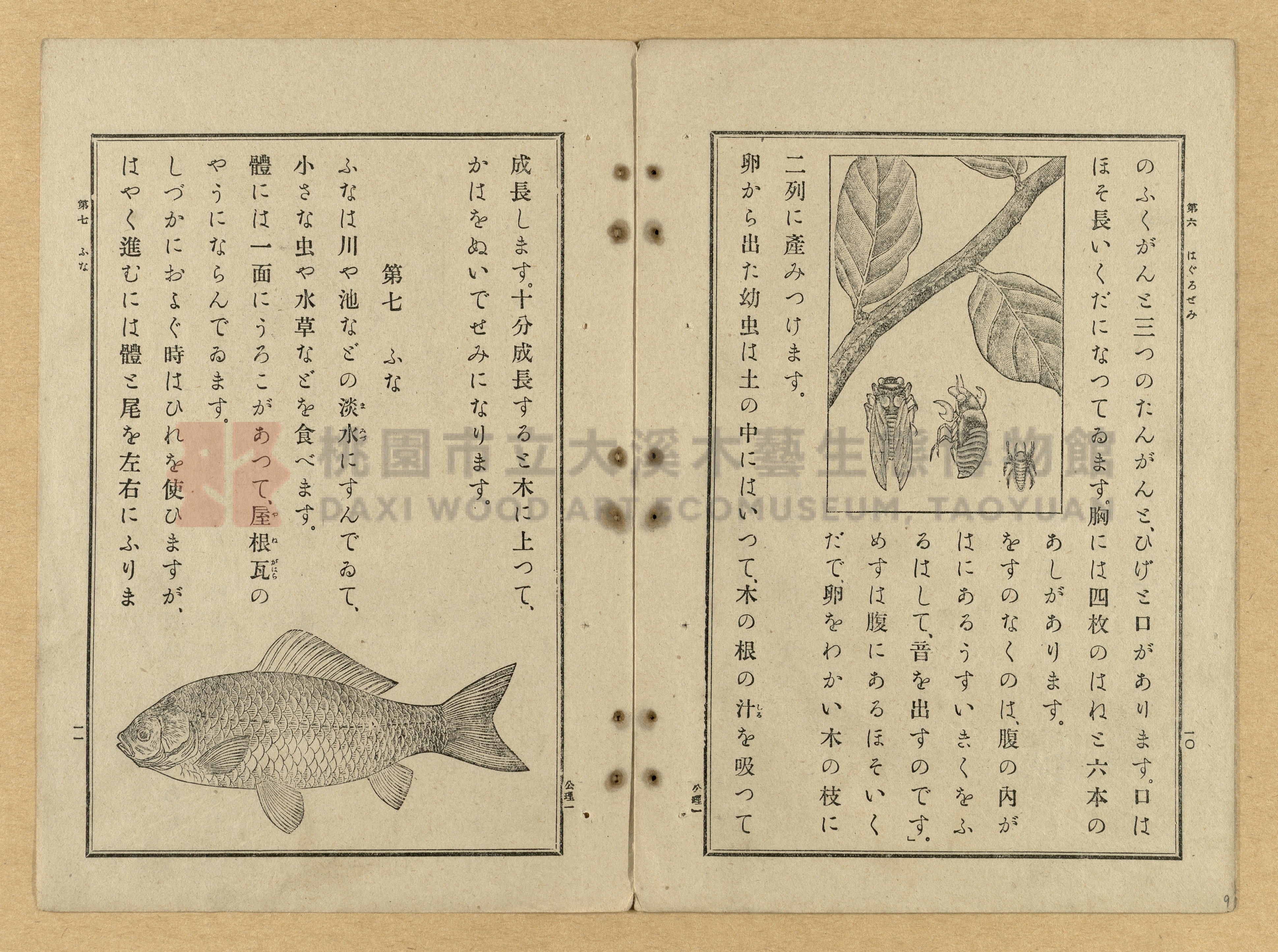 《公學校理科書》卷一主題的圖片縮圖第9張