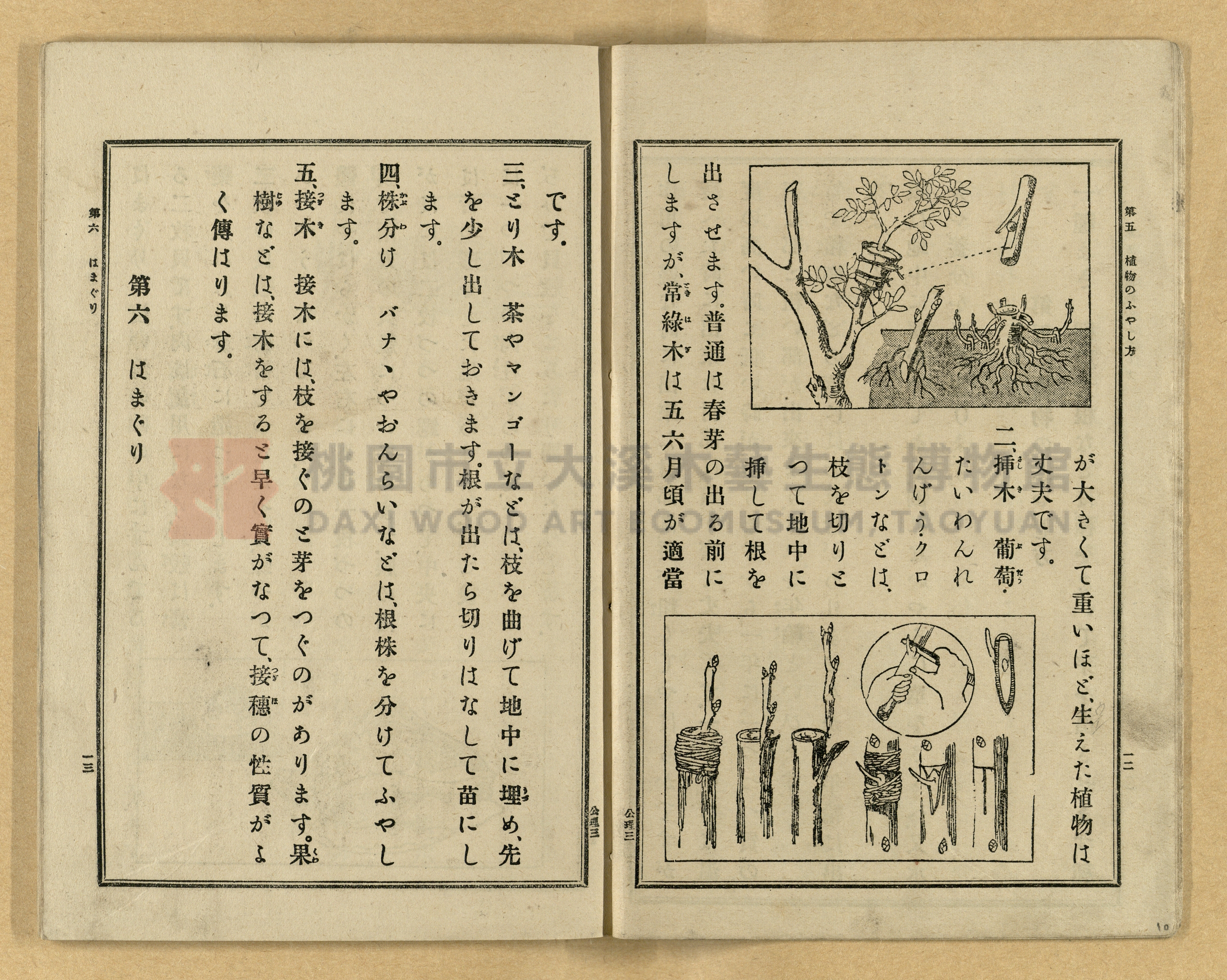 《公學校理科書》卷三主題的圖片縮圖第10張