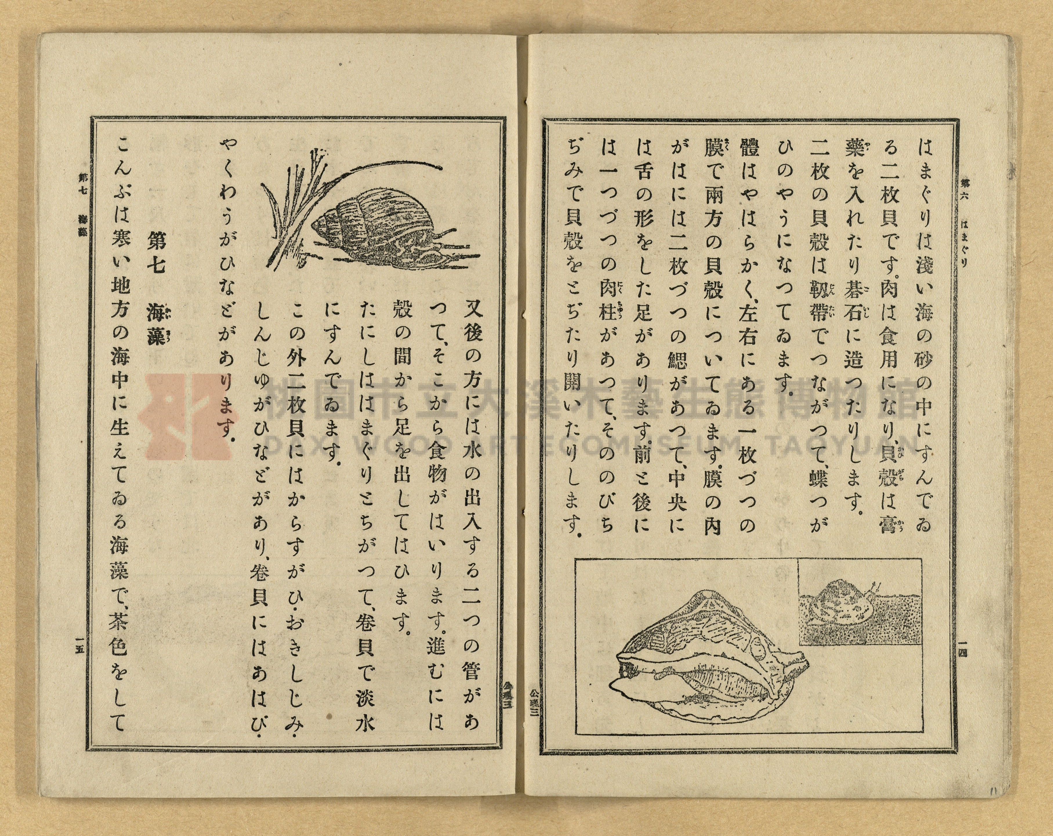 《公學校理科書》卷三主題的圖片縮圖第11張