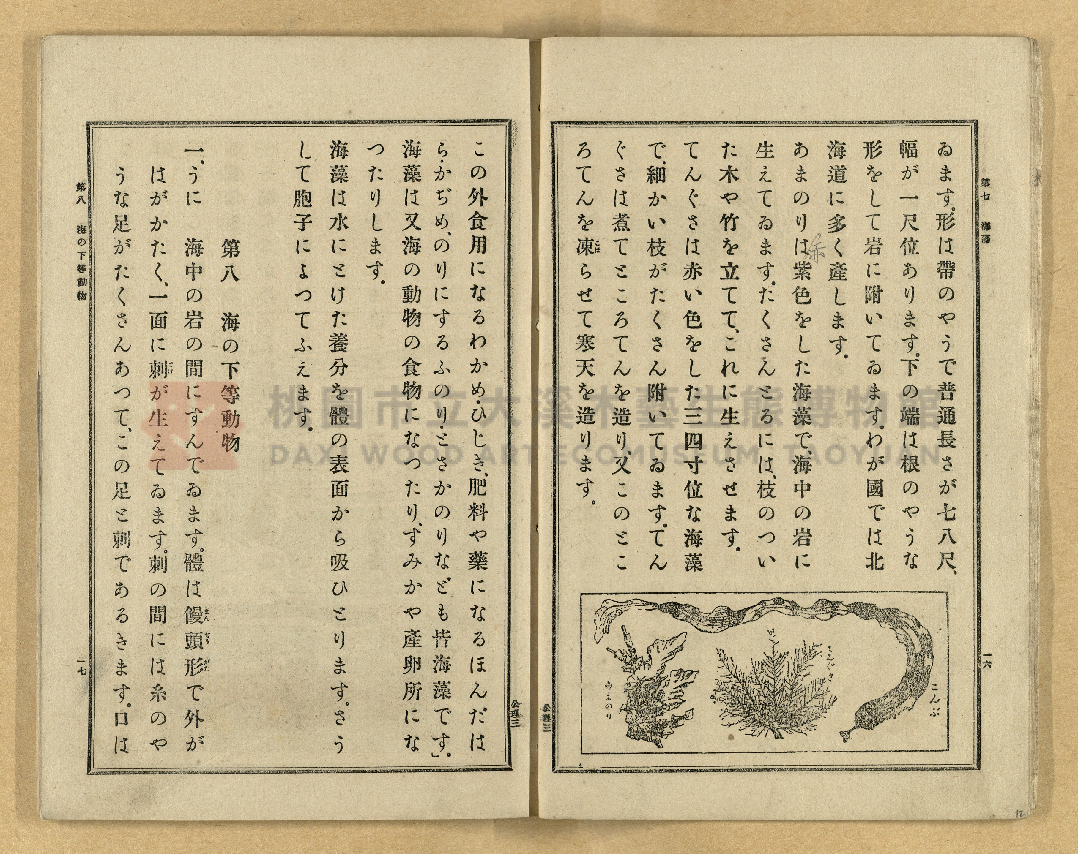 《公學校理科書》卷三主題的圖片縮圖第12張