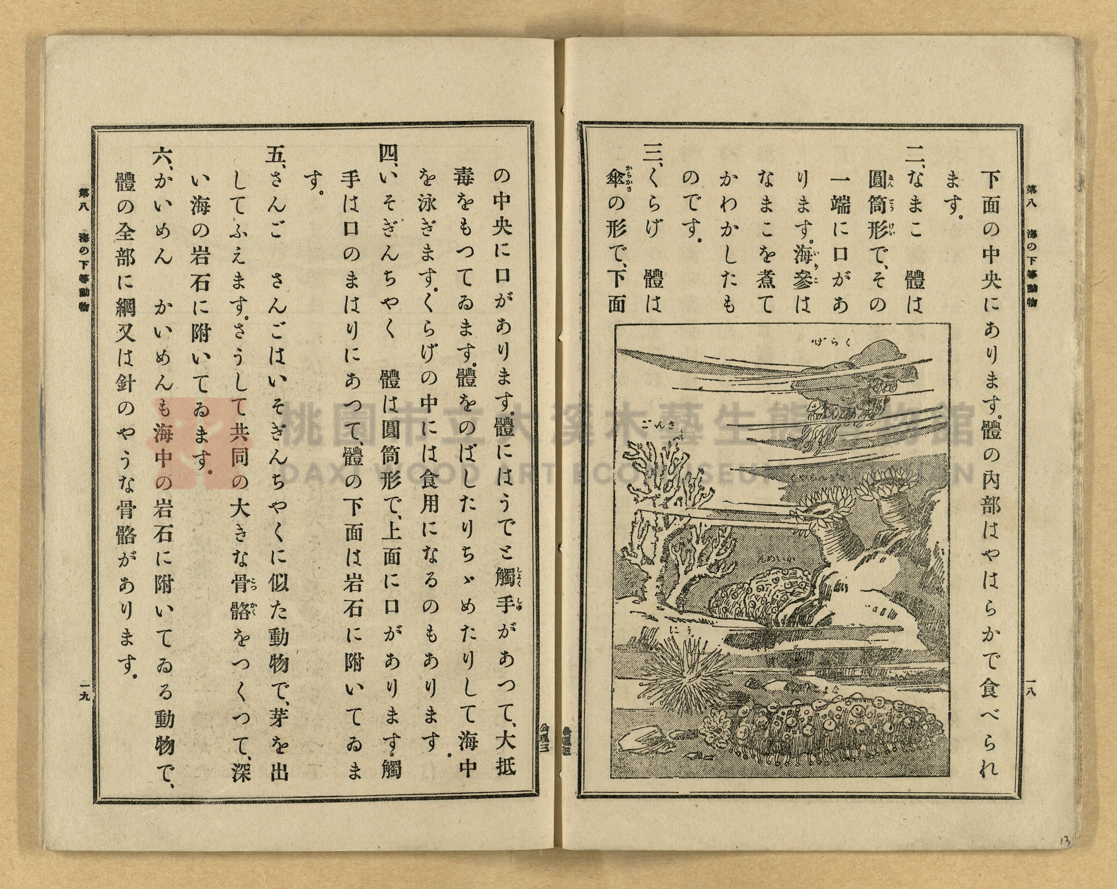 《公學校理科書》卷三主題的圖片縮圖第13張