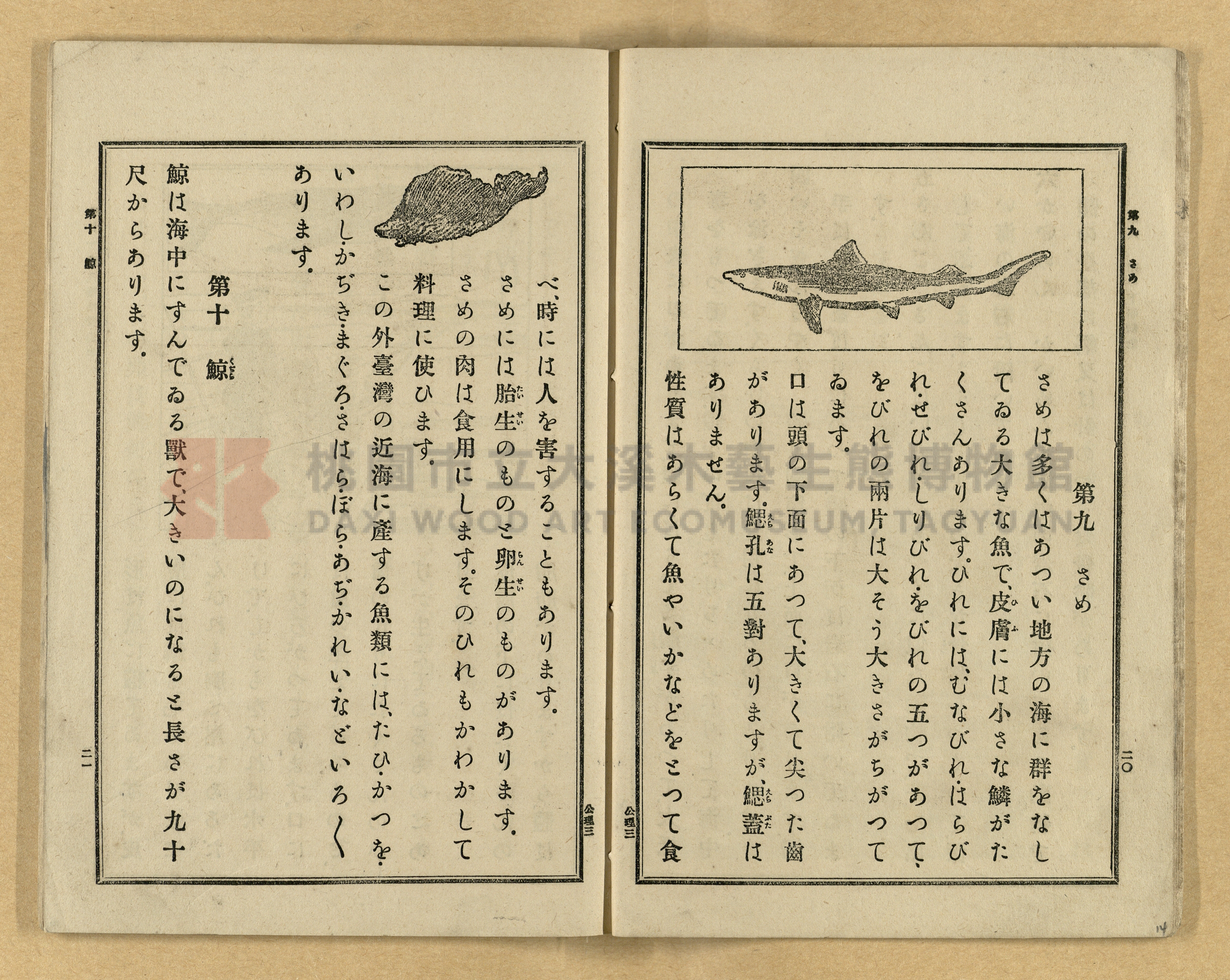《公學校理科書》卷三主題的圖片縮圖第14張