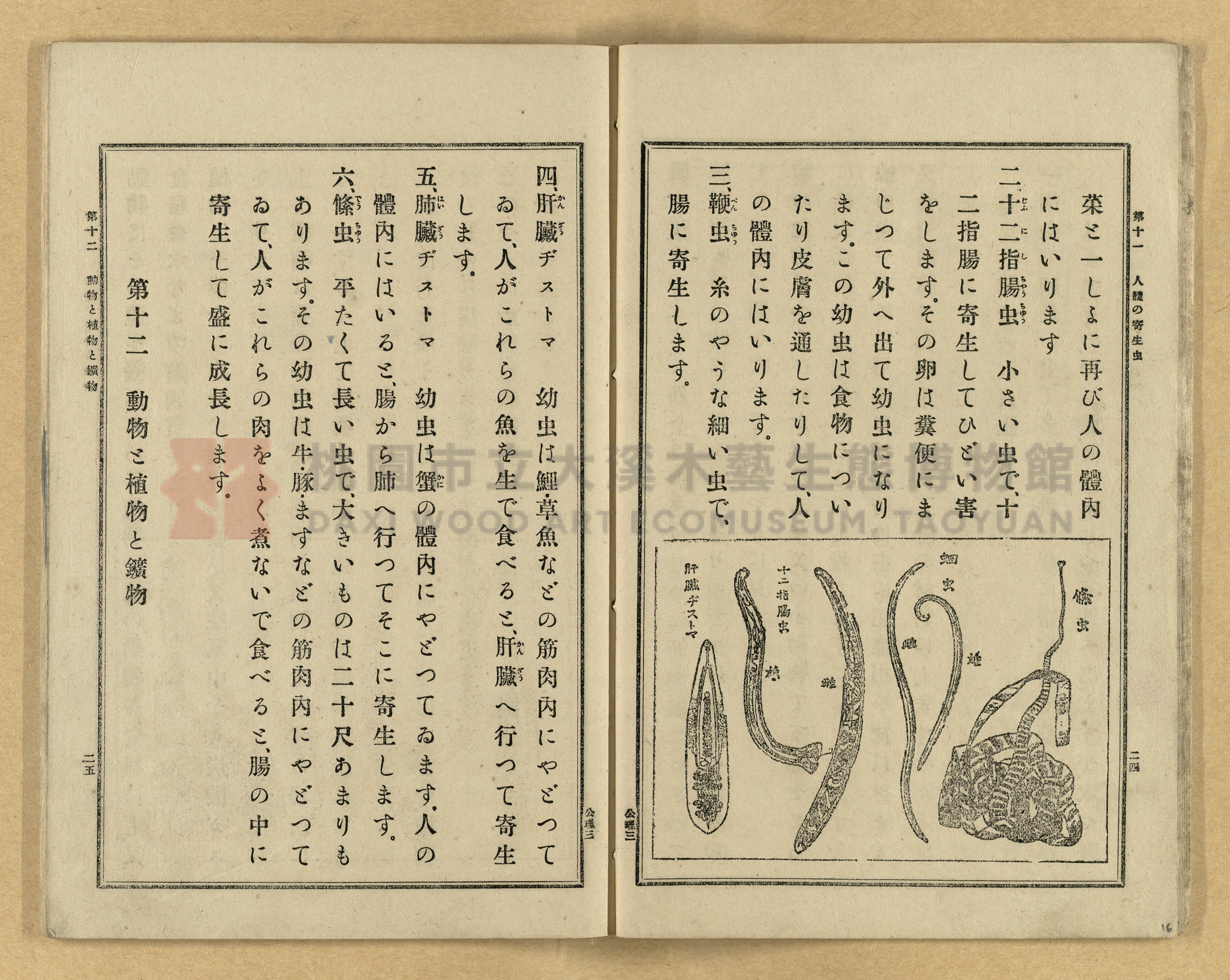 《公學校理科書》卷三主題的圖片縮圖第16張