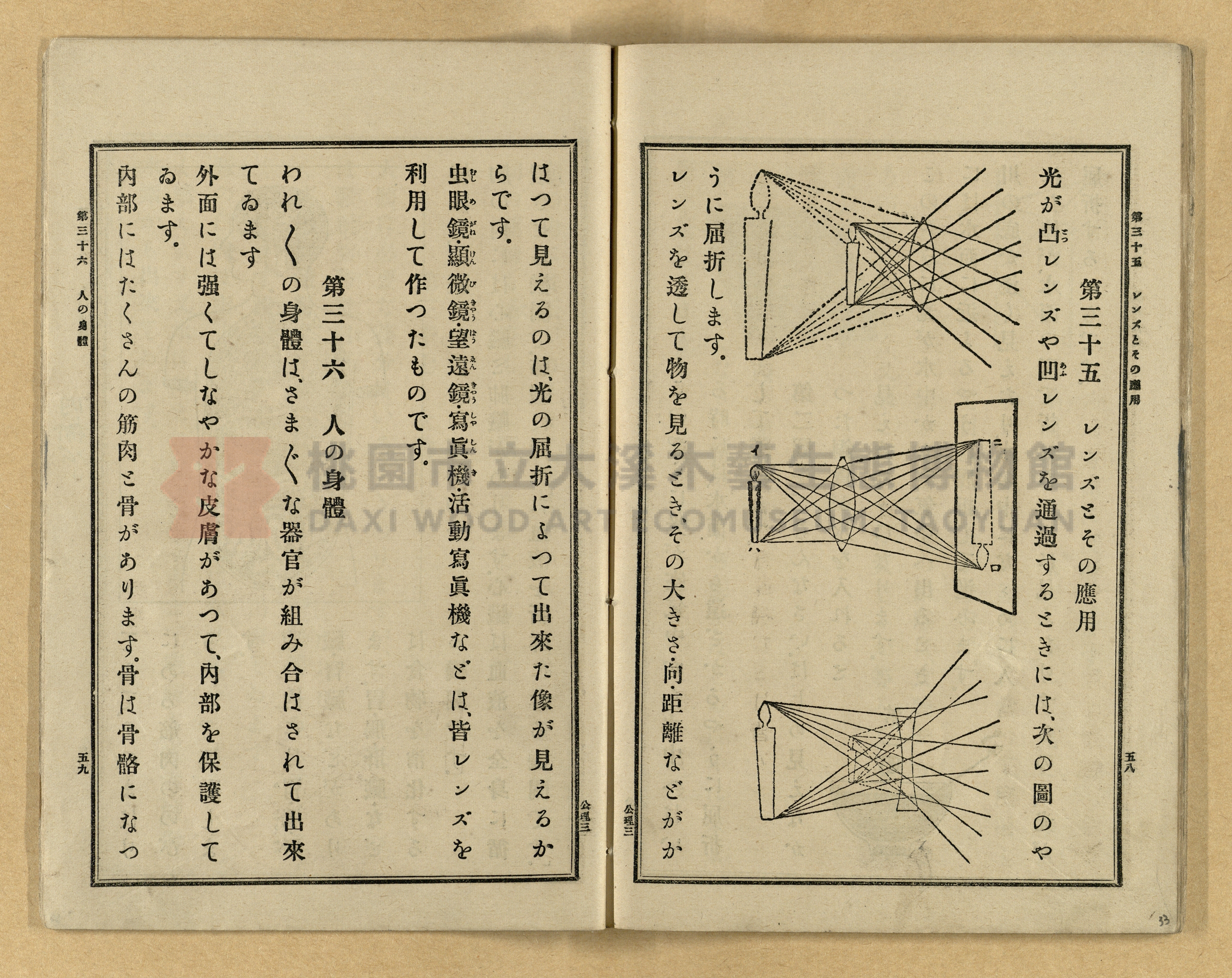 《公學校理科書》卷三主題的圖片縮圖第33張