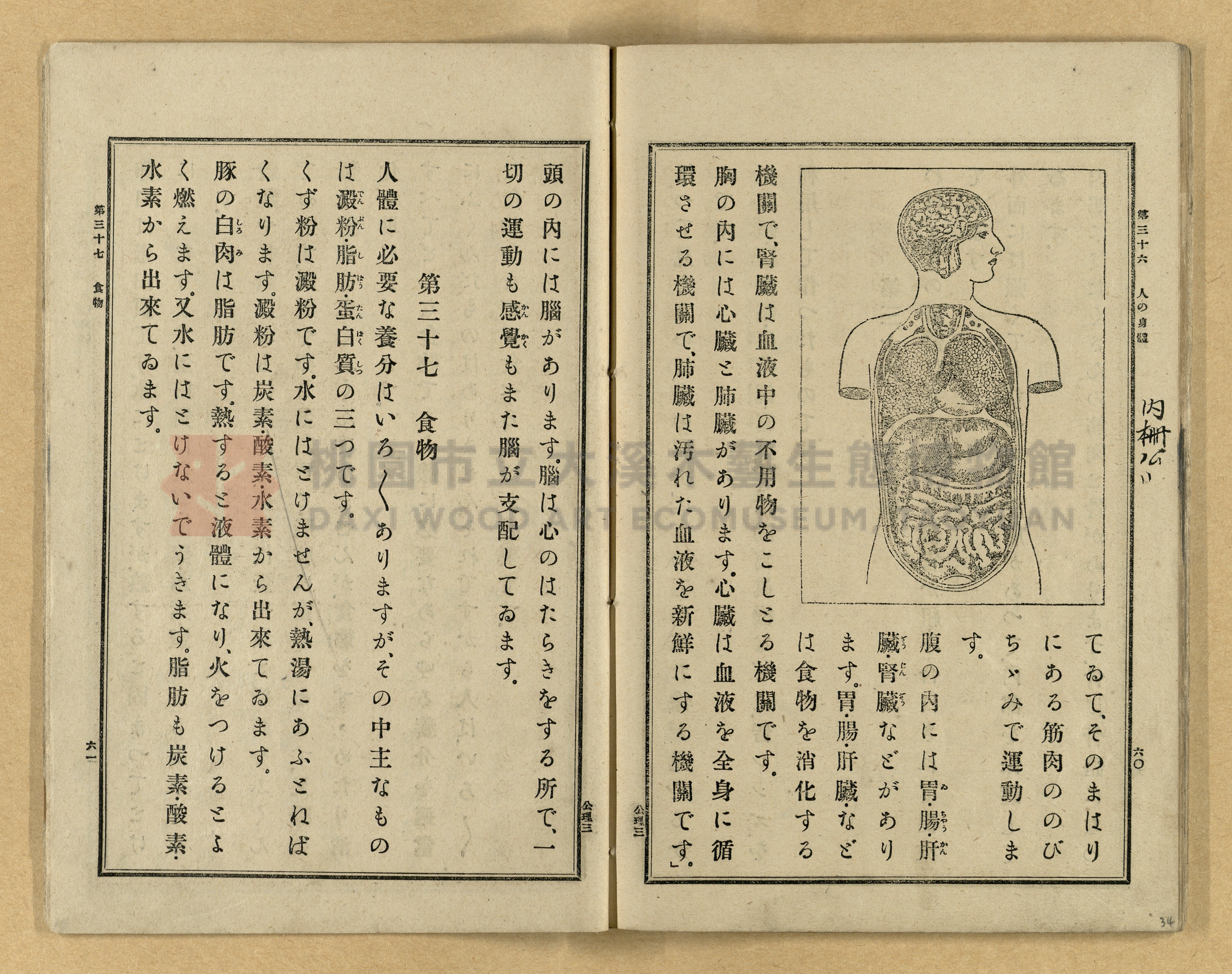 《公學校理科書》卷三主題的圖片縮圖第34張