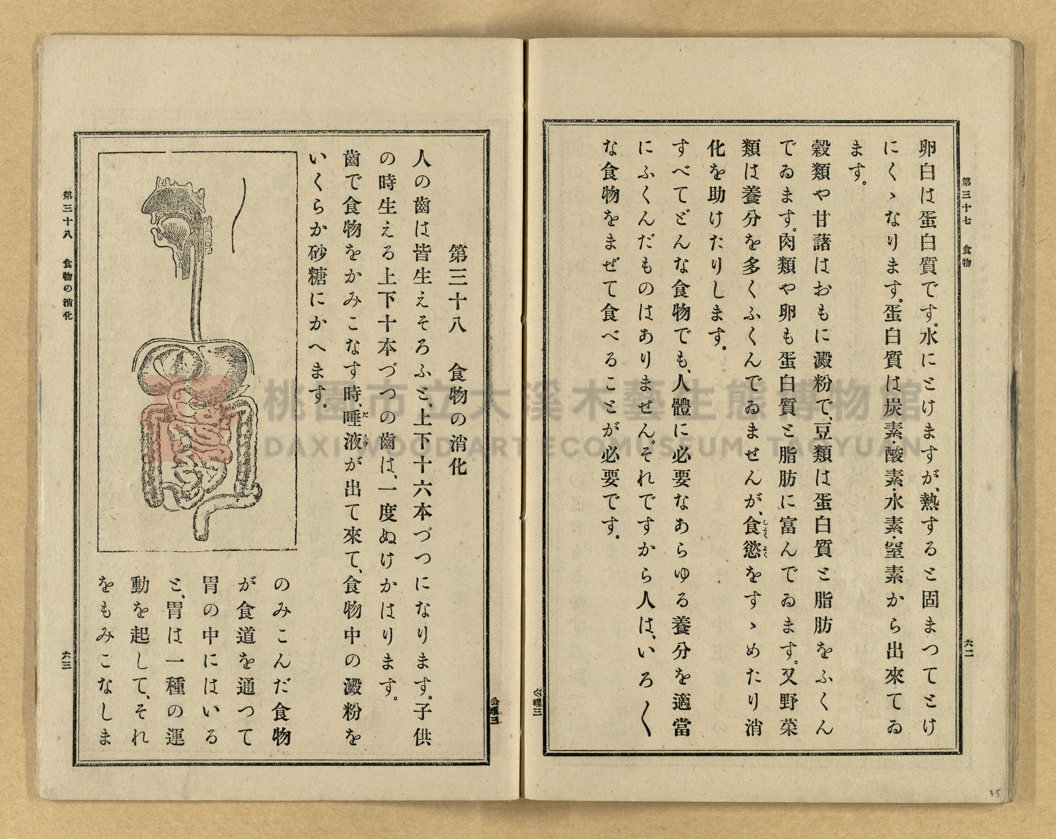 《公學校理科書》卷三主題的圖片縮圖第35張