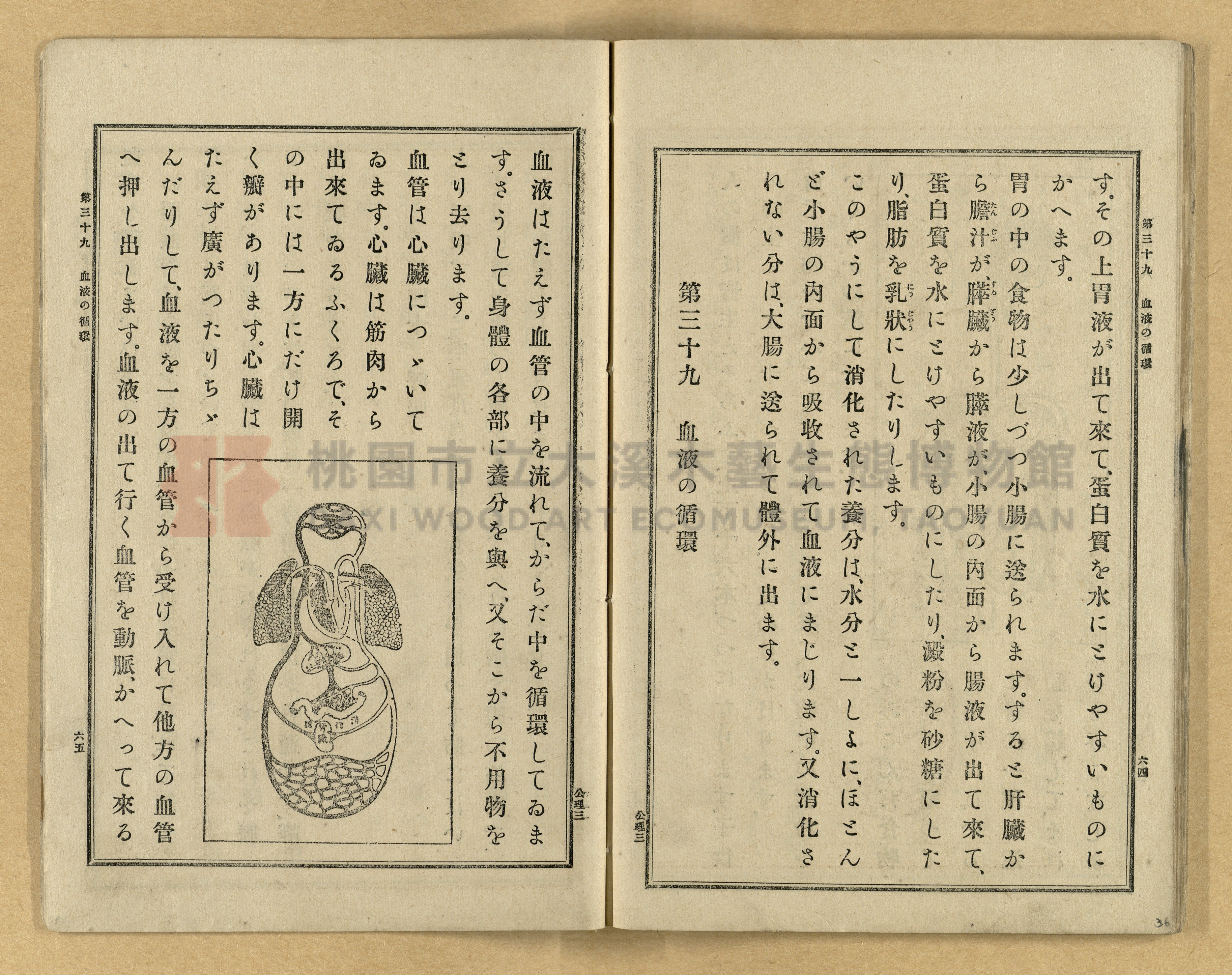 《公學校理科書》卷三主題的圖片縮圖第36張
