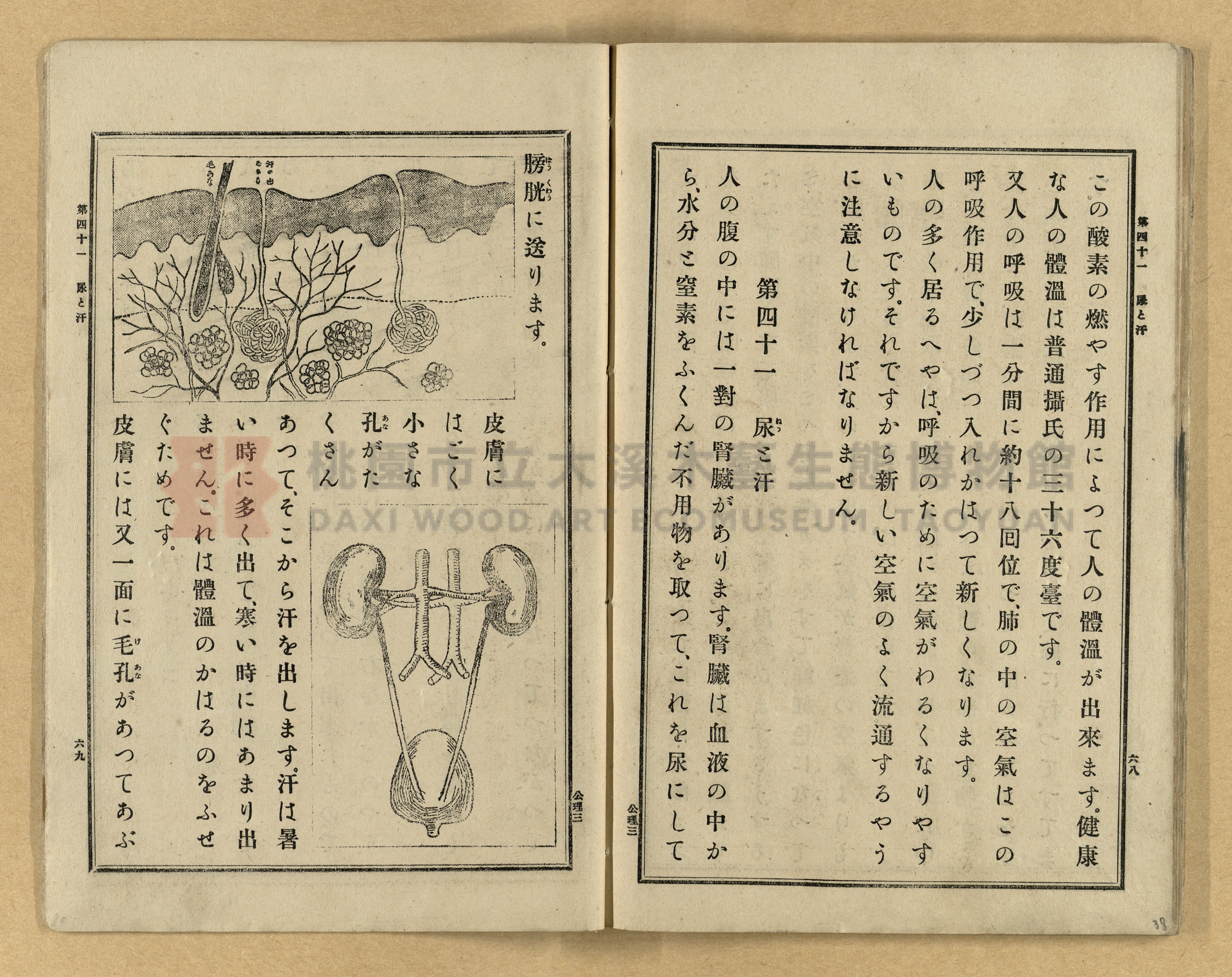 《公學校理科書》卷三主題的圖片縮圖第38張