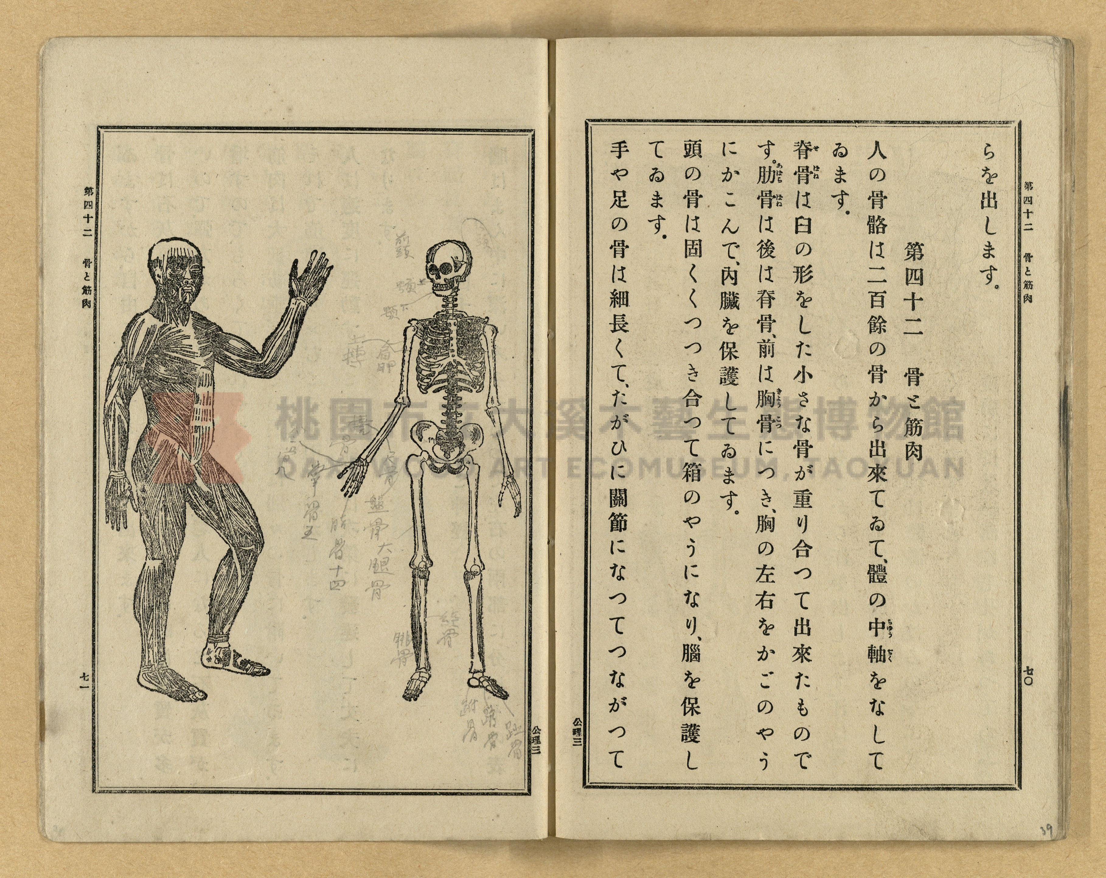《公學校理科書》卷三主題的圖片縮圖第39張