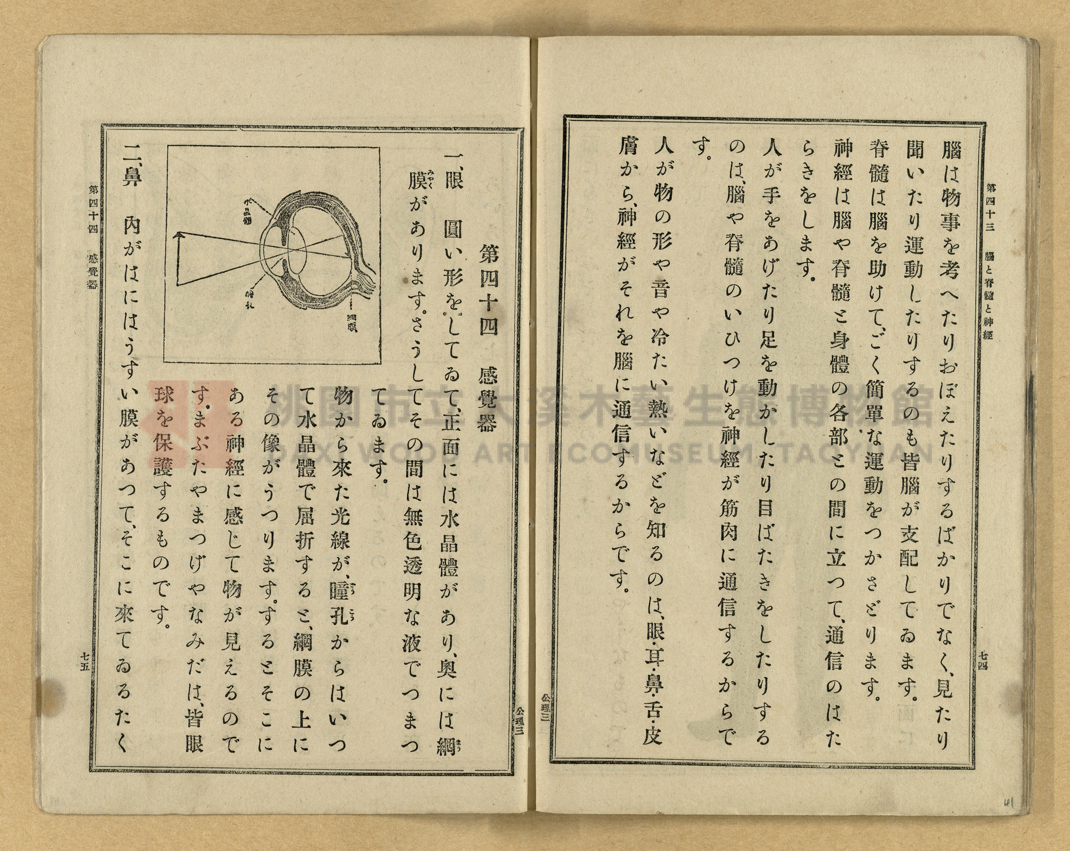 《公學校理科書》卷三主題的圖片縮圖第41張