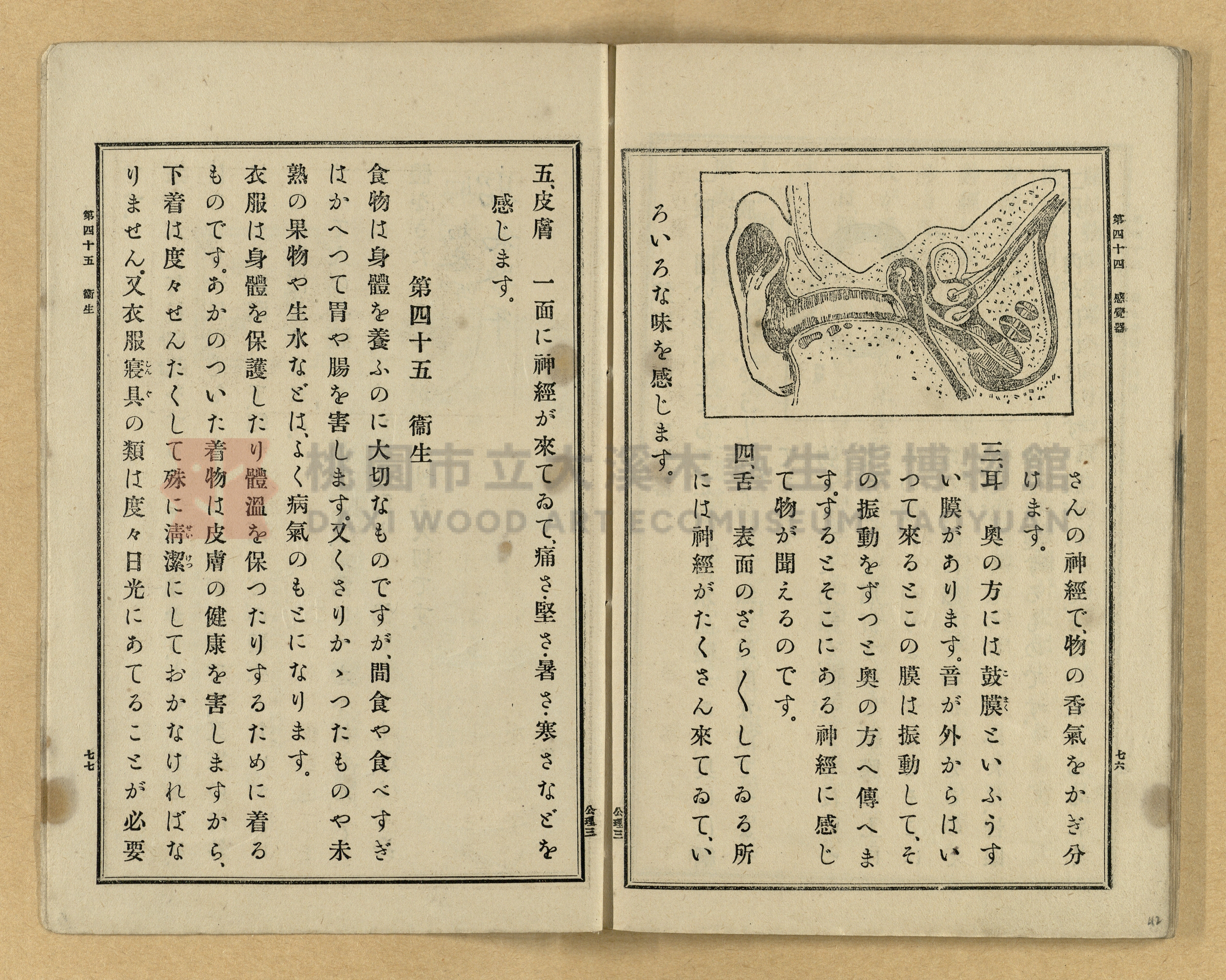 《公學校理科書》卷三主題的圖片縮圖第42張