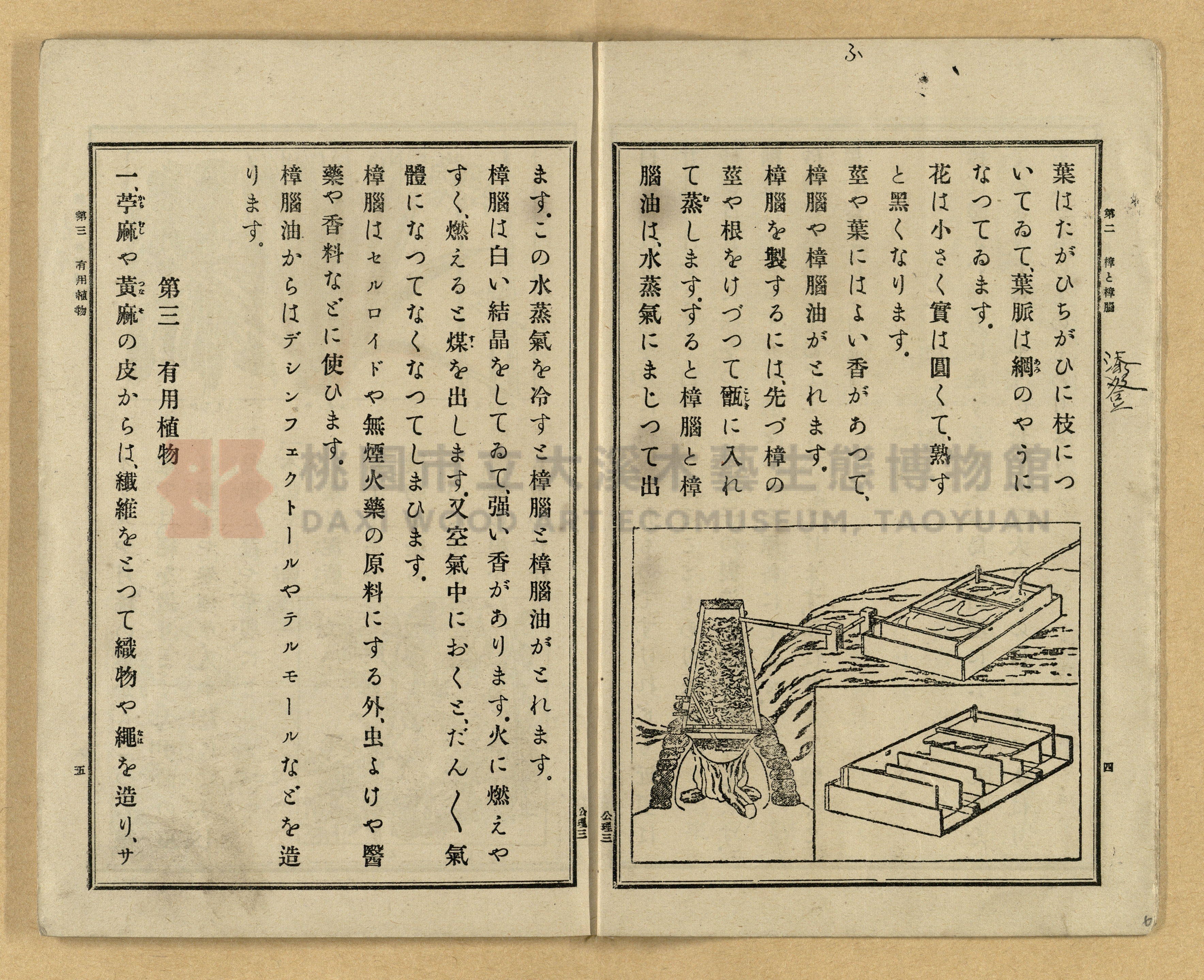 《公學校理科書》卷三主題的圖片縮圖第6張
