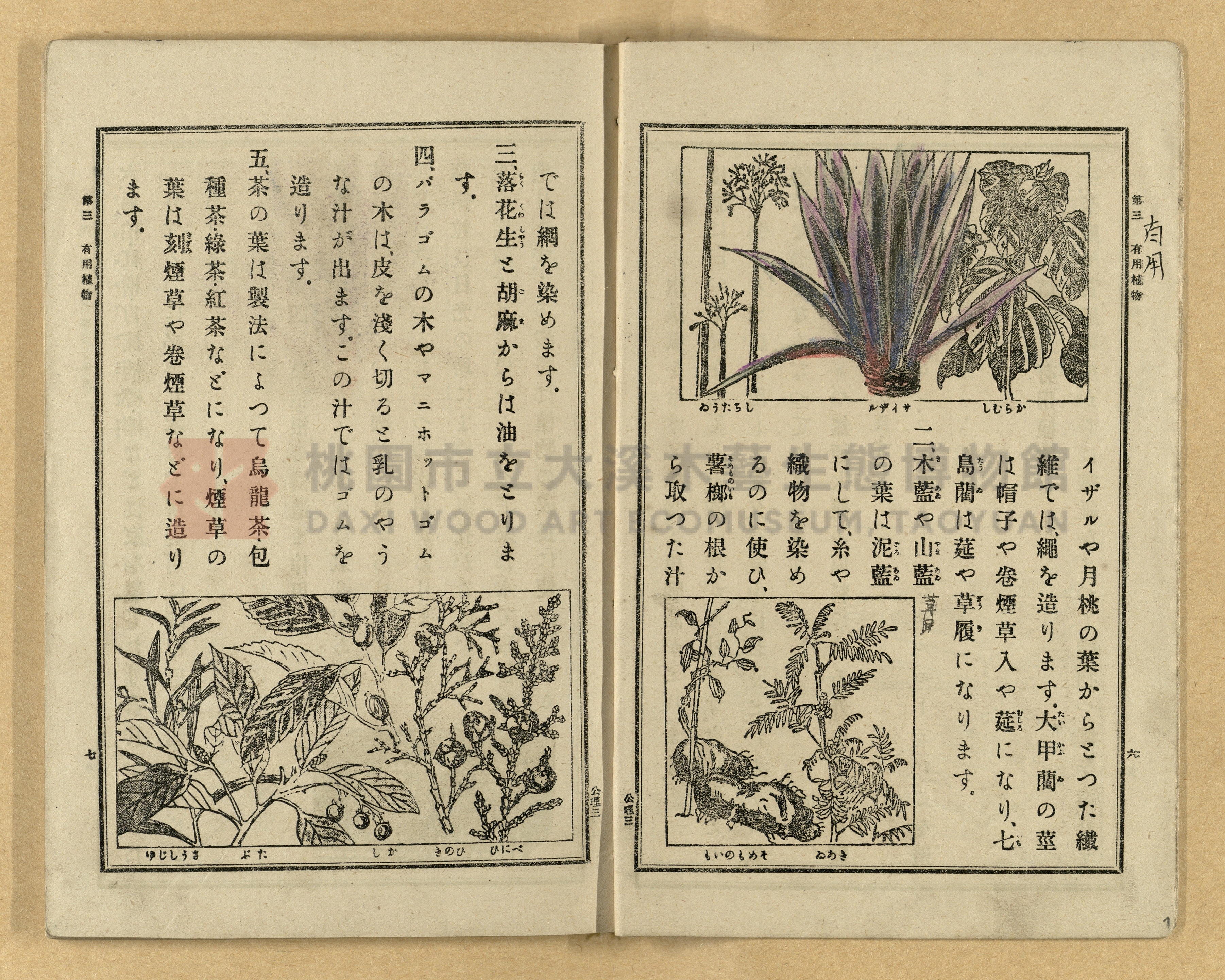 《公學校理科書》卷三主題的圖片縮圖第7張
