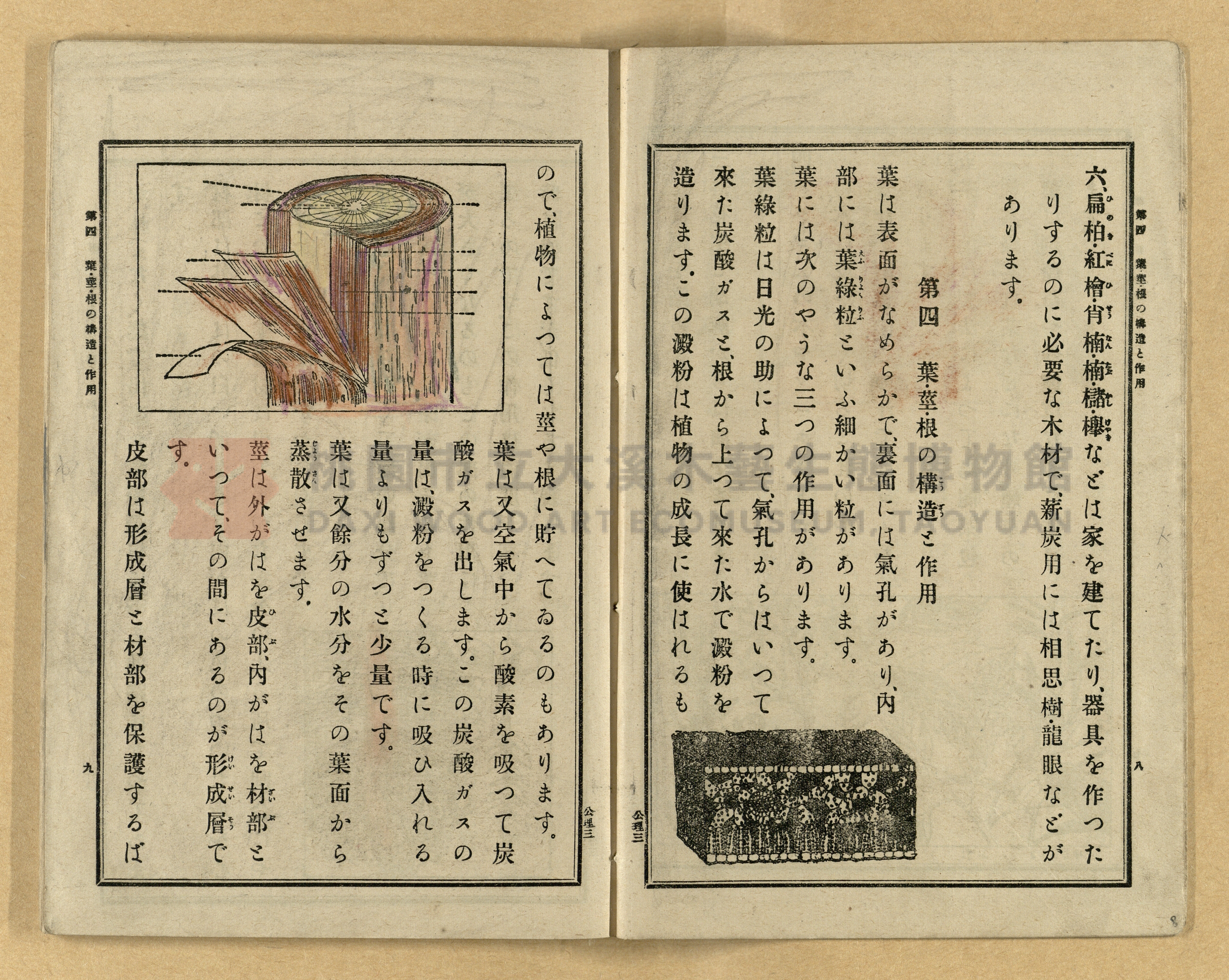 《公學校理科書》卷三主題的圖片縮圖第8張