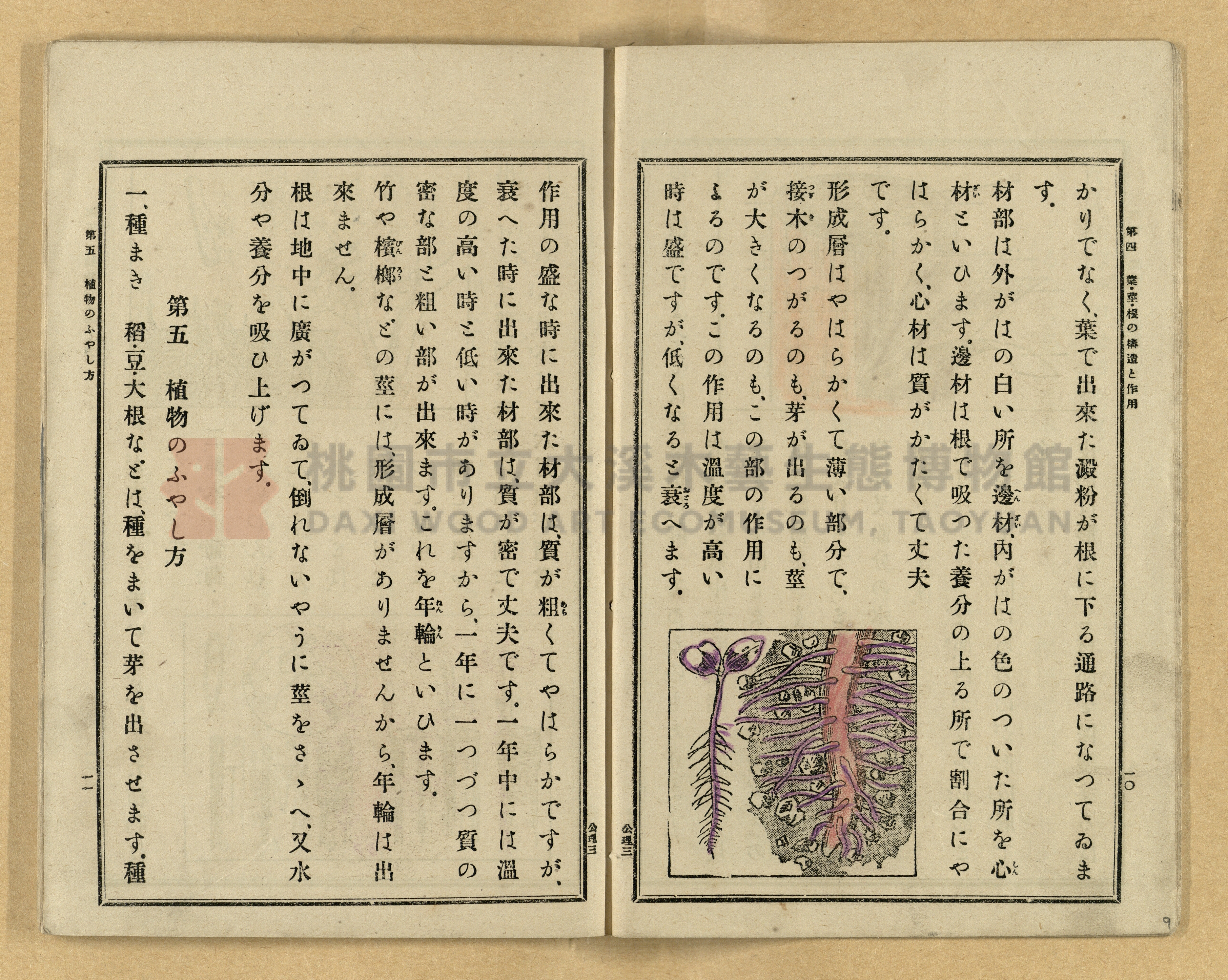 《公學校理科書》卷三主題的圖片縮圖第9張