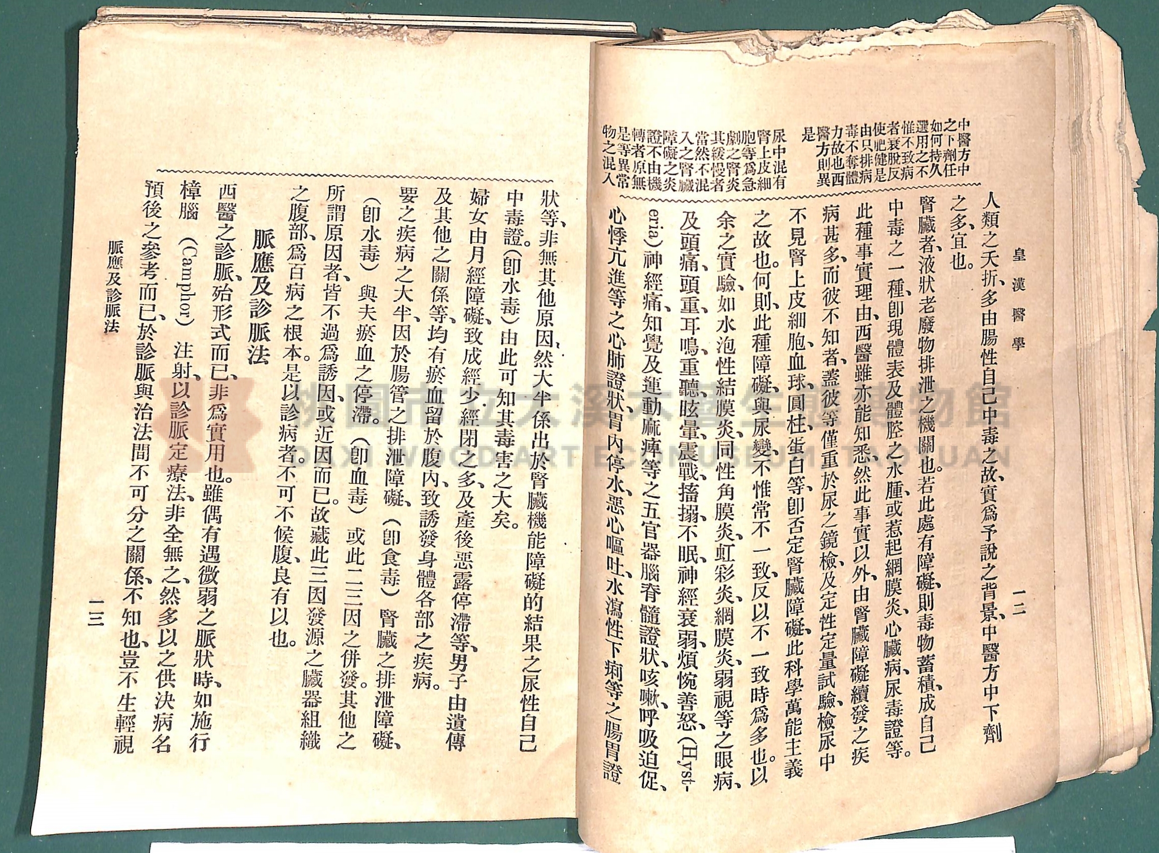 《皇漢醫學:第一卷》主題的圖片縮圖第33張