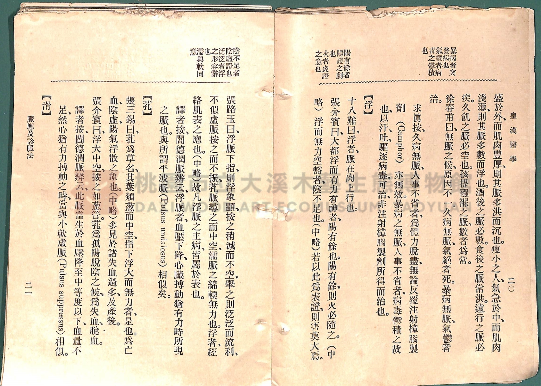 《皇漢醫學:第一卷》主題的圖片縮圖第38張
