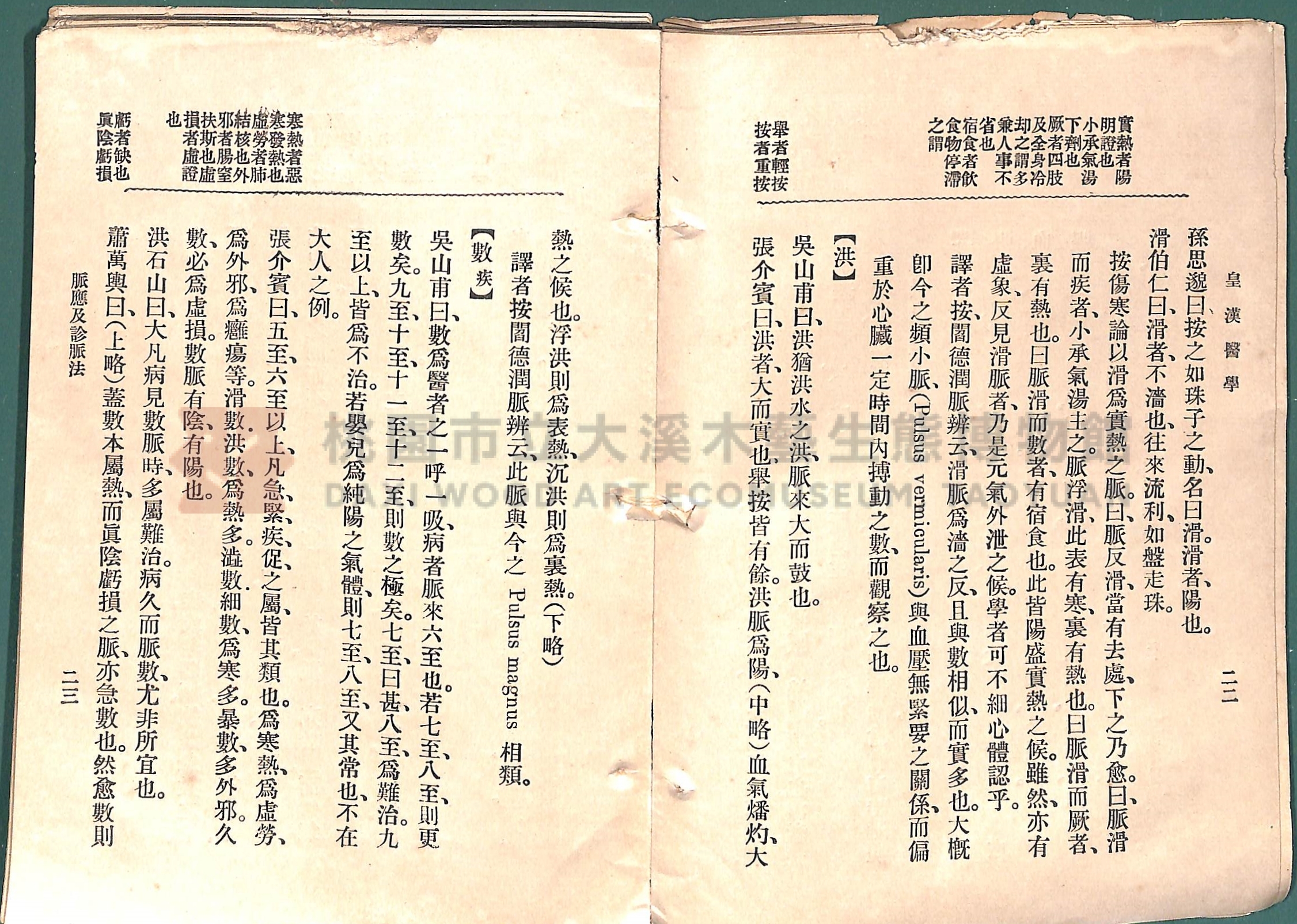 《皇漢醫學:第一卷》主題的圖片縮圖第39張