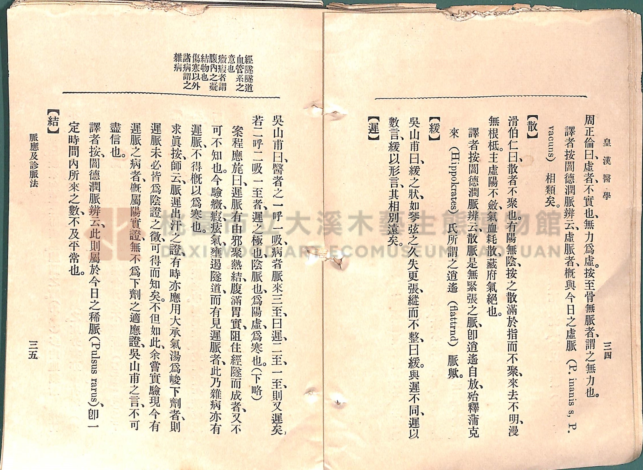 《皇漢醫學:第一卷》主題的圖片縮圖第45張