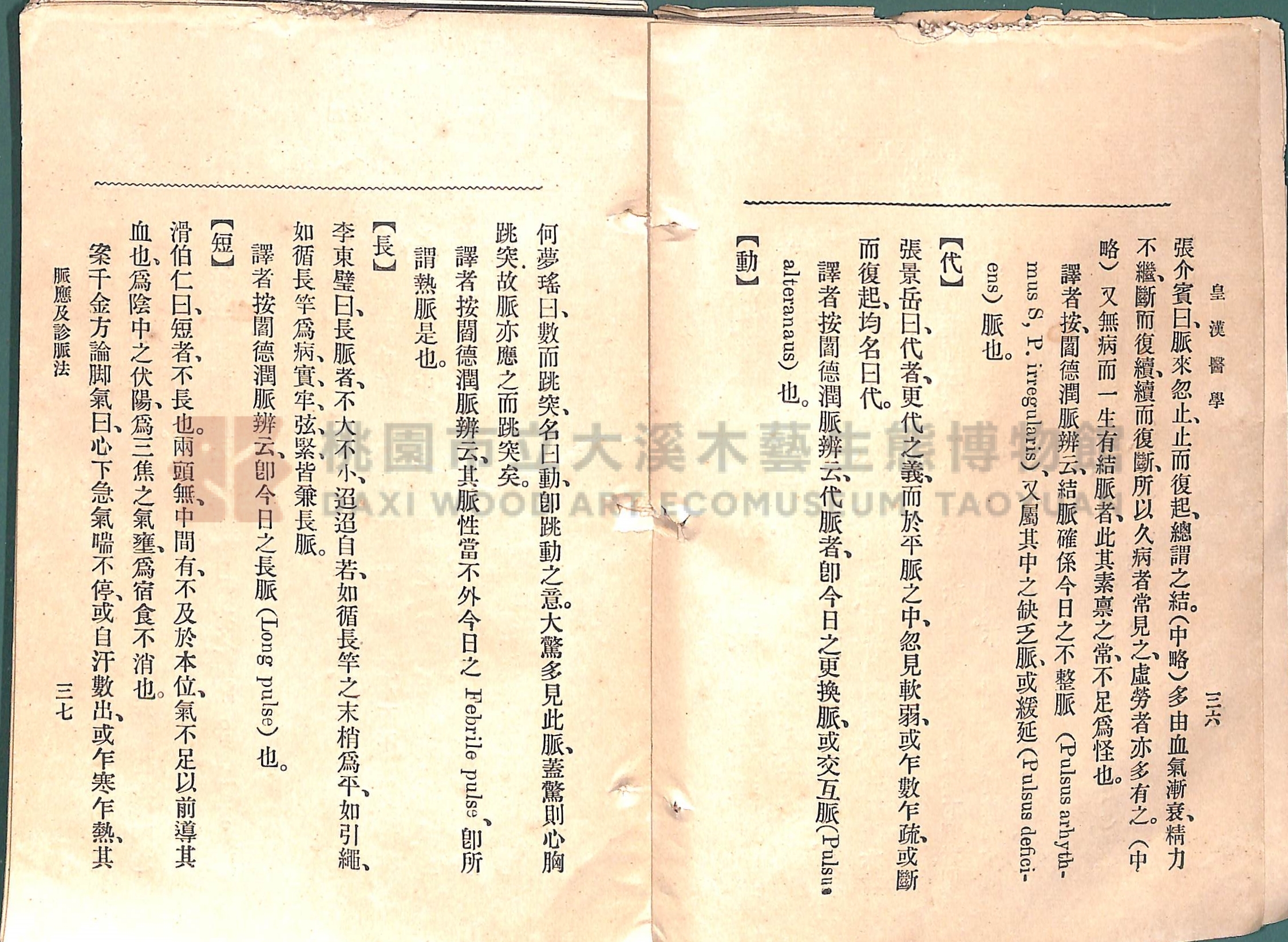 《皇漢醫學:第一卷》主題的圖片縮圖第46張