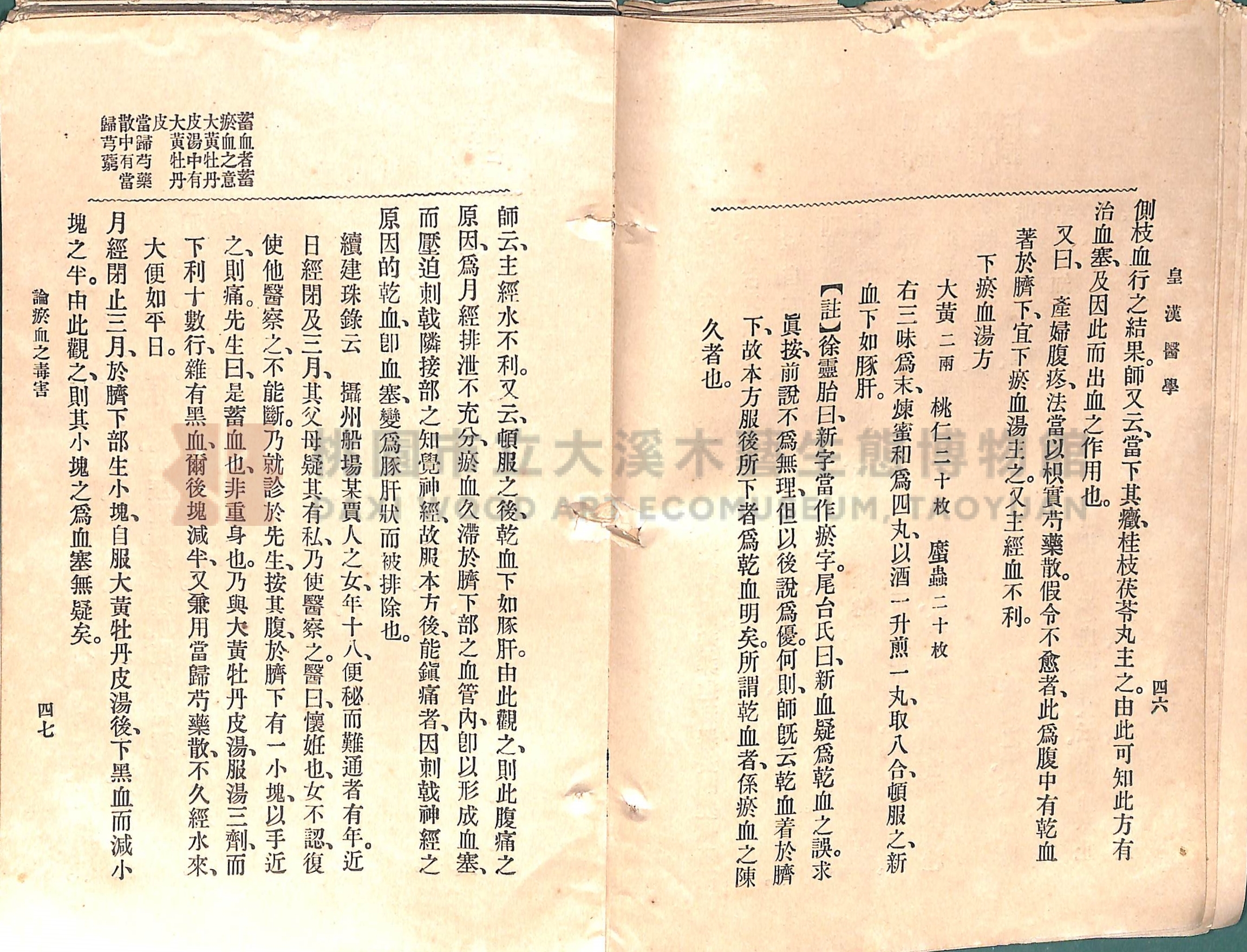 《皇漢醫學:第一卷》主題的圖片縮圖第51張