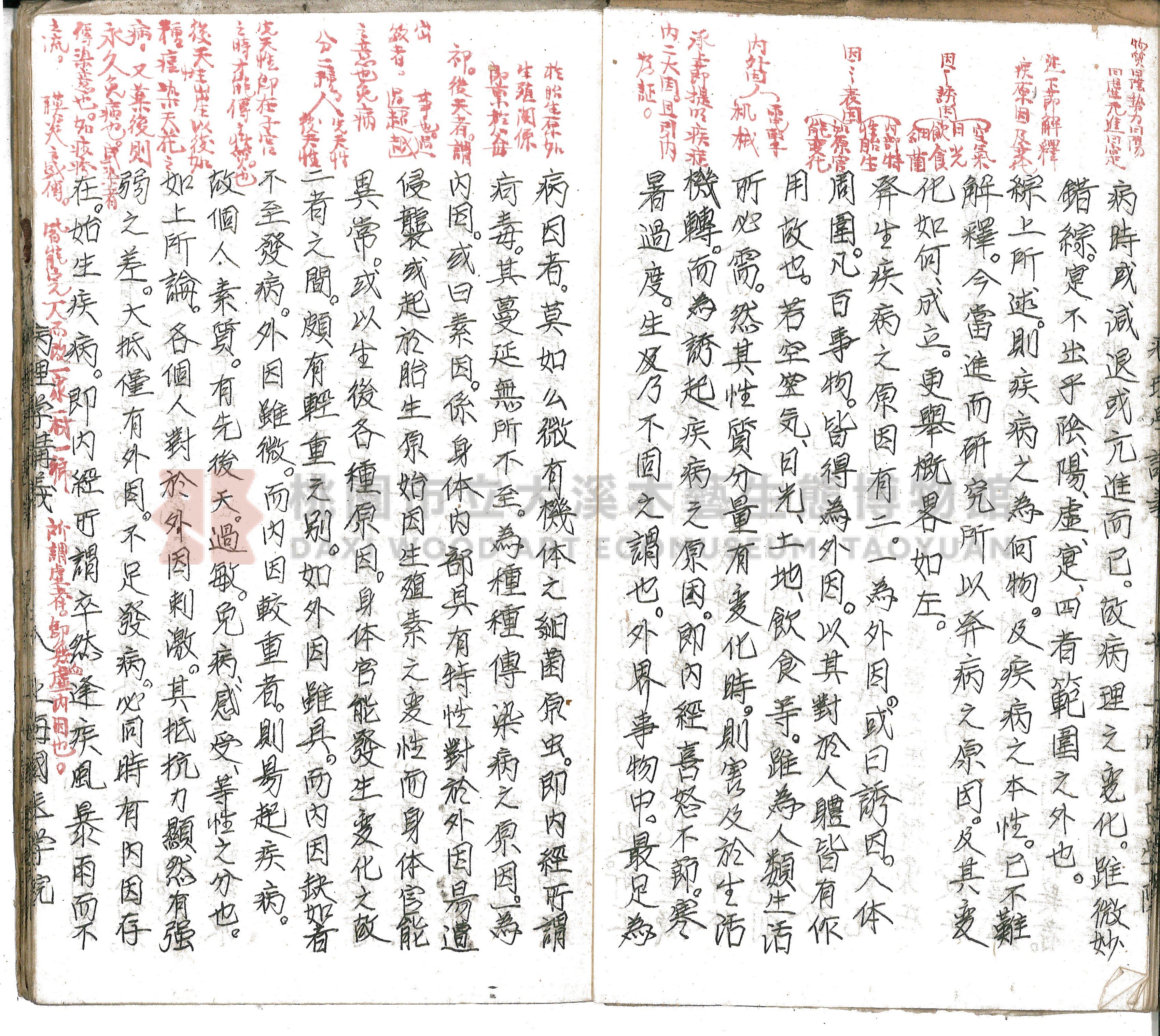 林長春抄寫《病理學講義》主題的圖片縮圖第11張