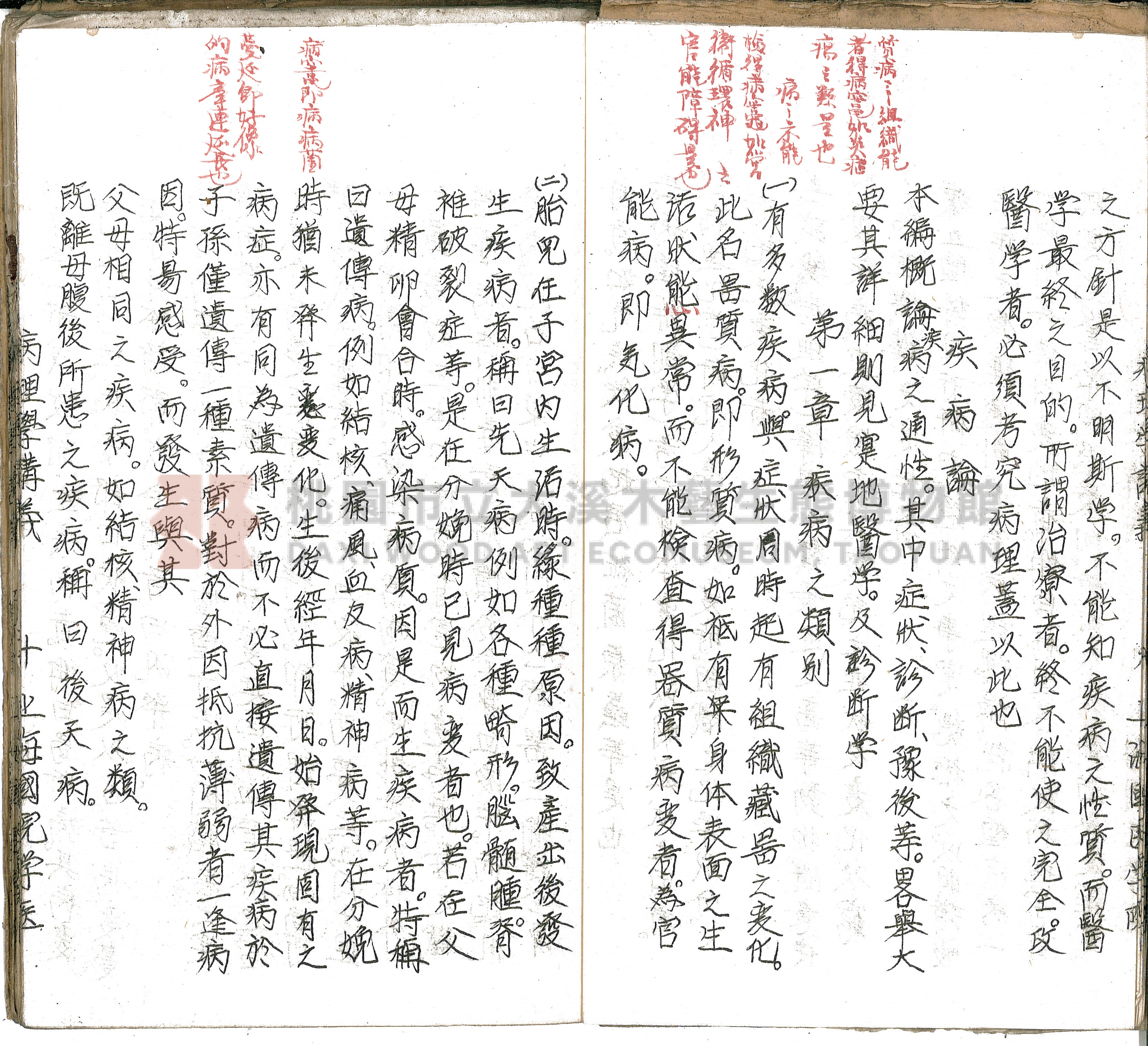 林長春抄寫《病理學講義》主題的圖片縮圖第13張