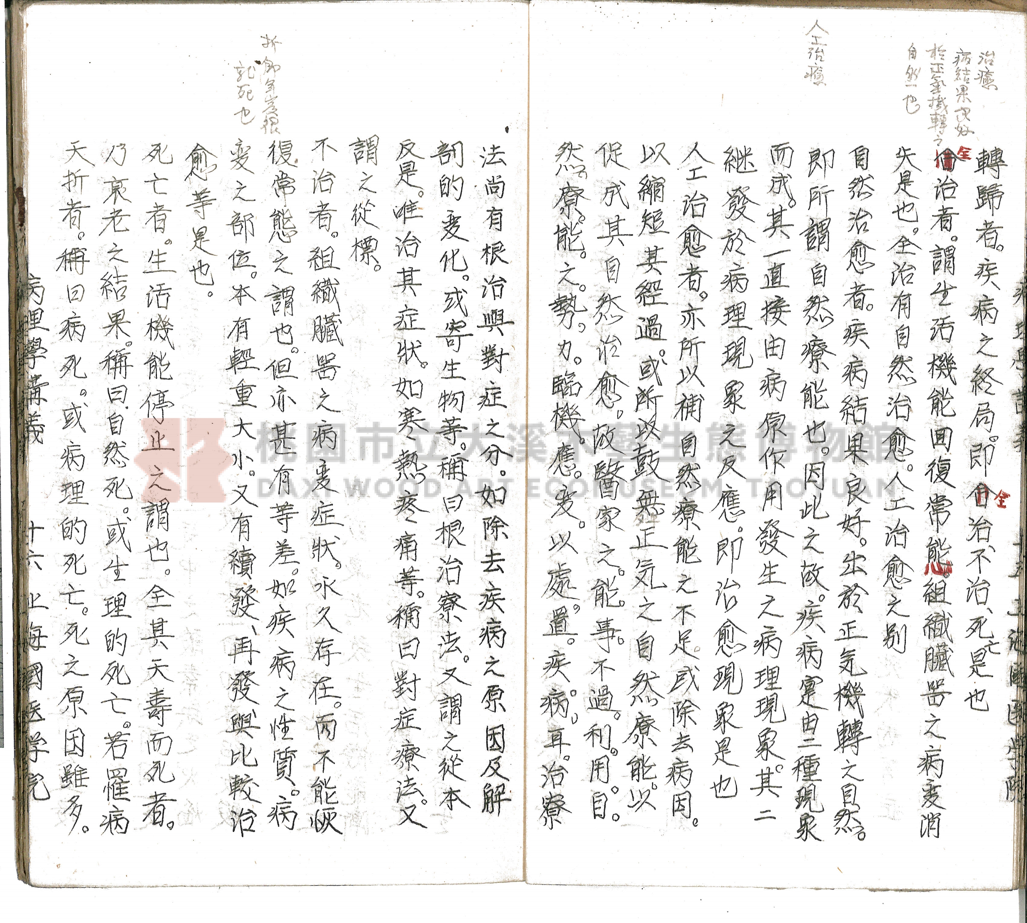 林長春抄寫《病理學講義》主題的圖片縮圖第19張