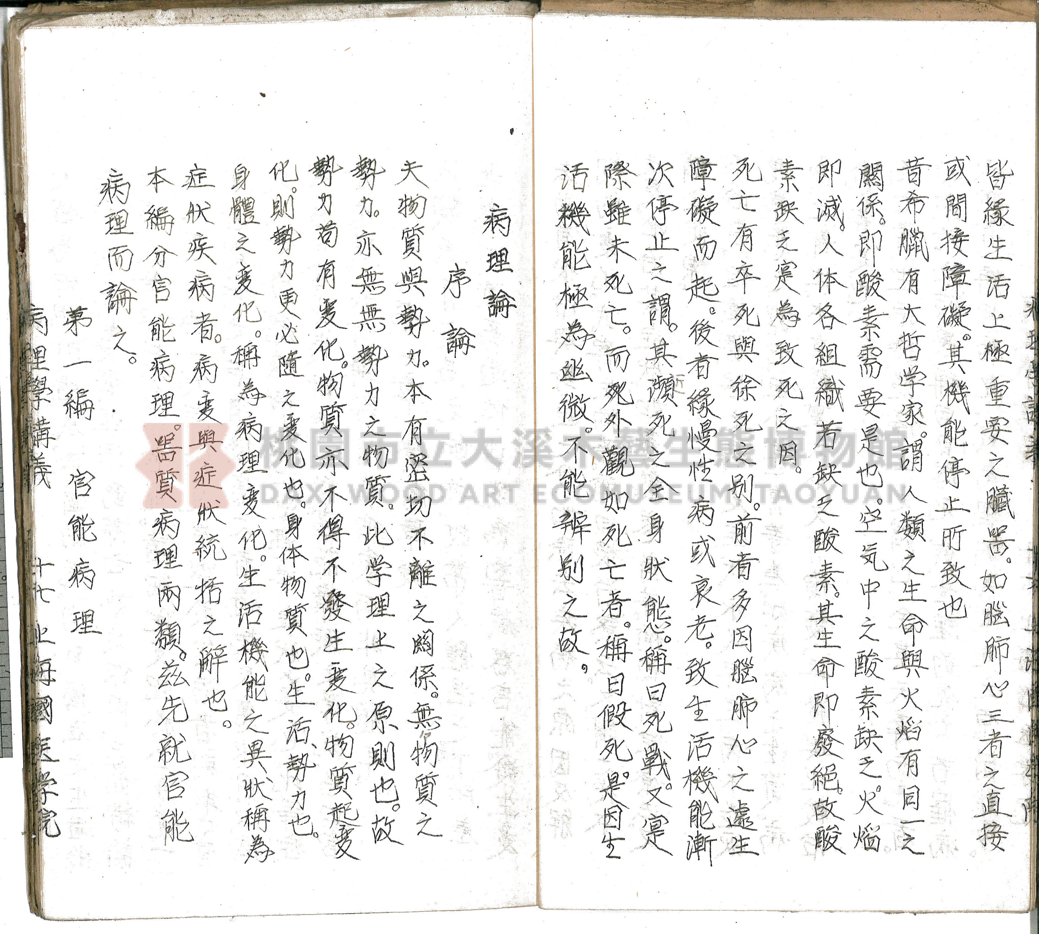 林長春抄寫《病理學講義》主題的圖片縮圖第20張