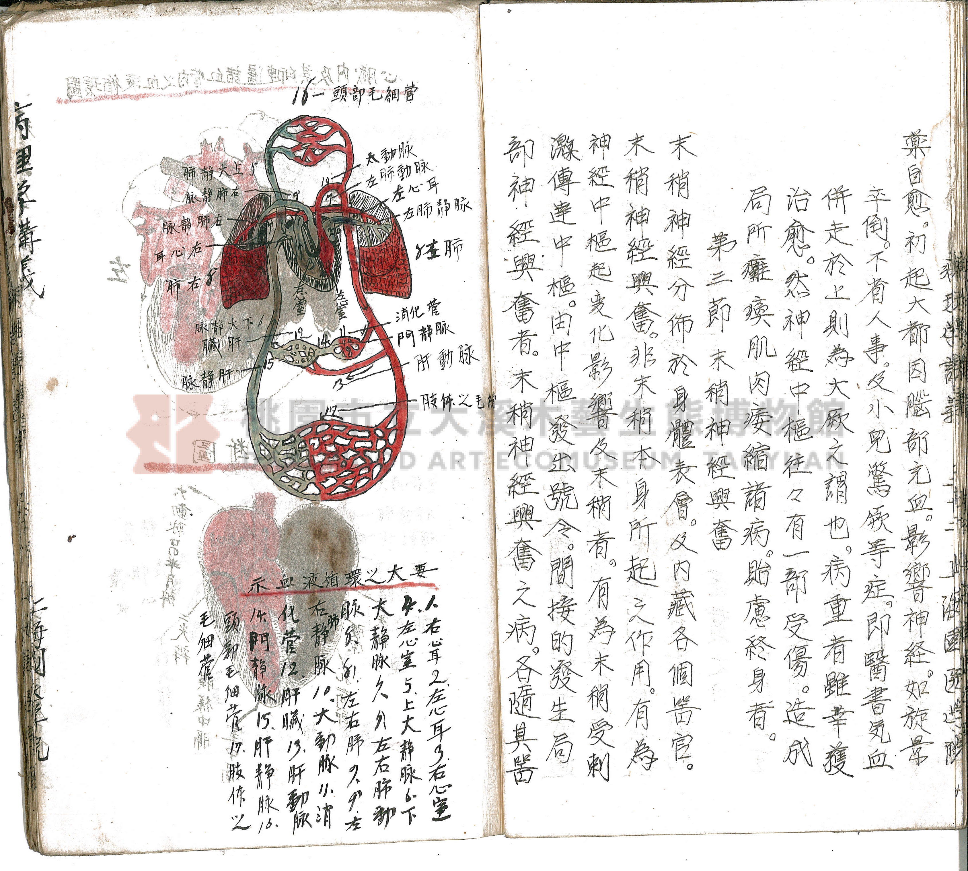 林長春抄寫《病理學講義》主題的圖片縮圖第26張