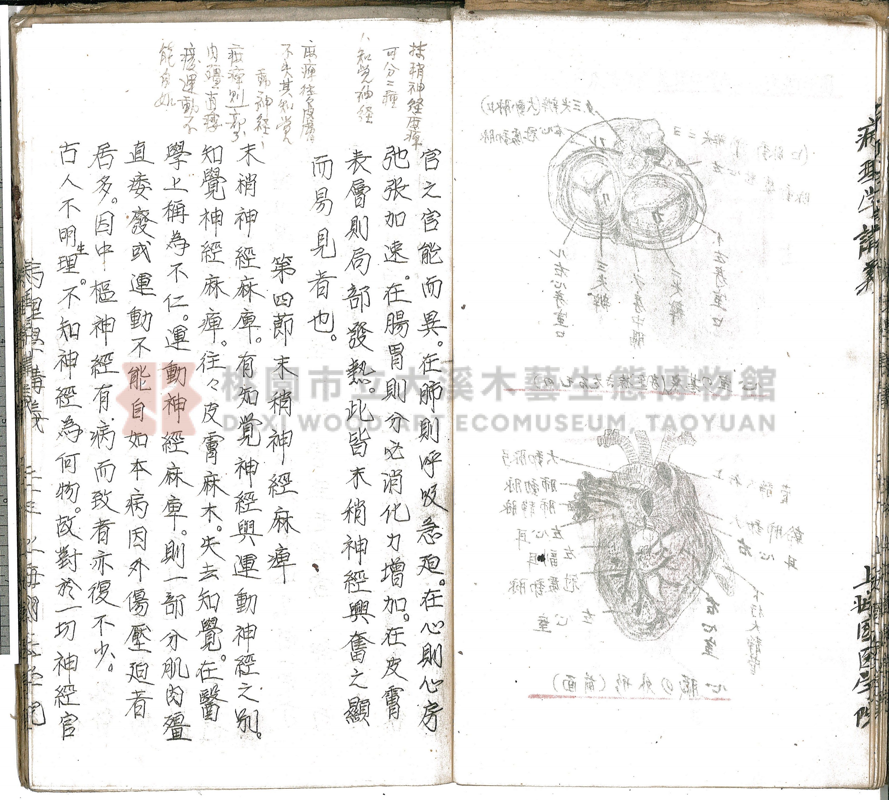 林長春抄寫《病理學講義》主題的圖片縮圖第28張