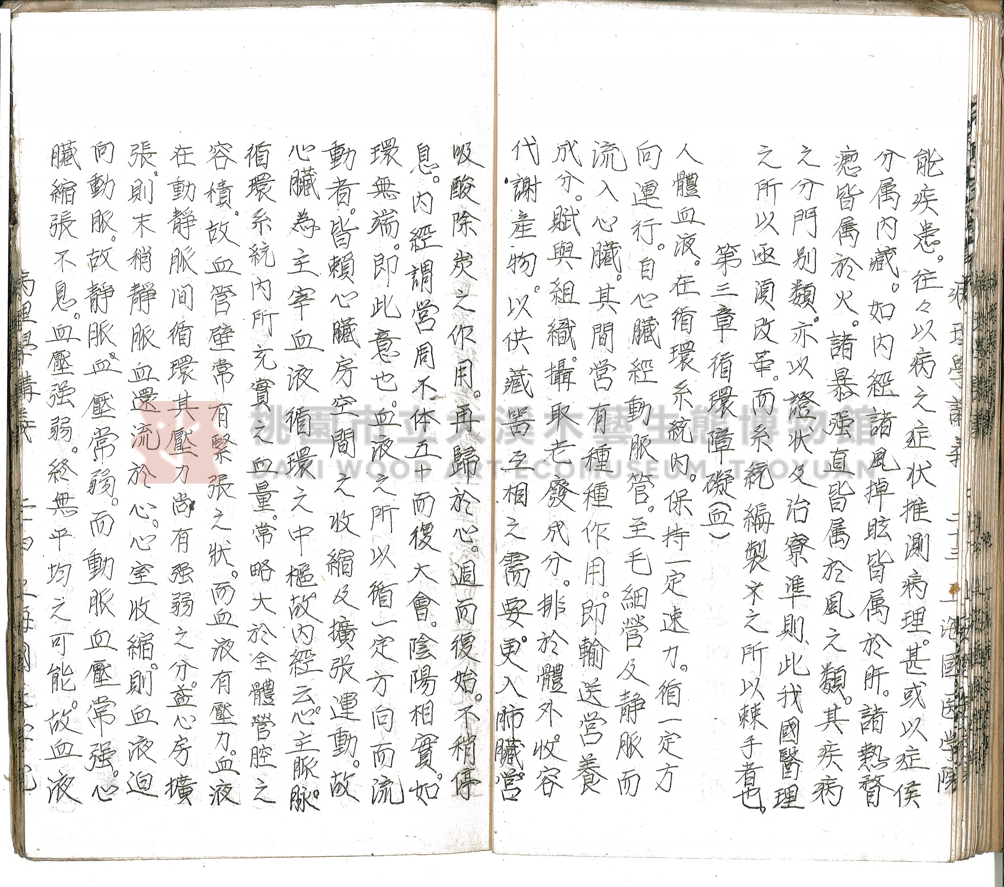 林長春抄寫《病理學講義》主題的圖片縮圖第29張