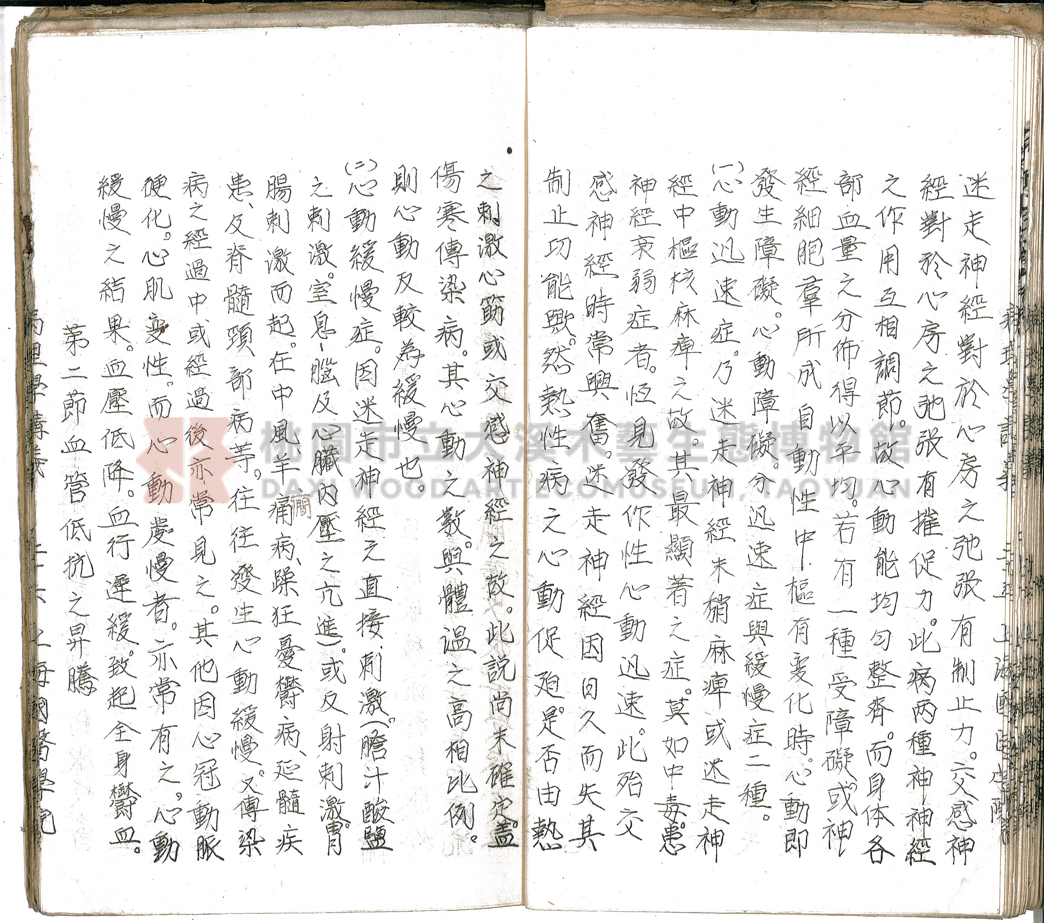 林長春抄寫《病理學講義》主題的圖片縮圖第31張