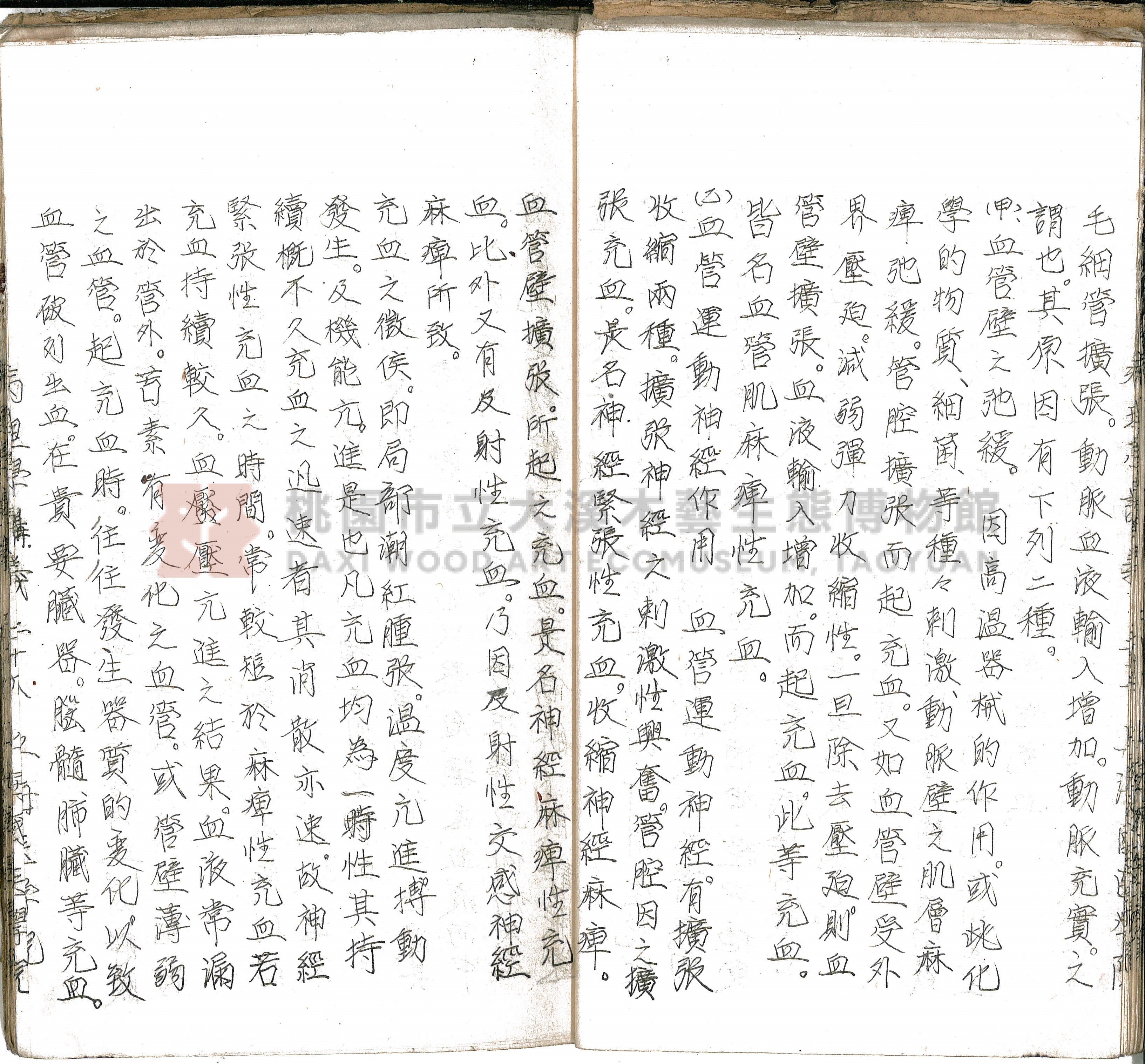 林長春抄寫《病理學講義》主題的圖片縮圖第33張