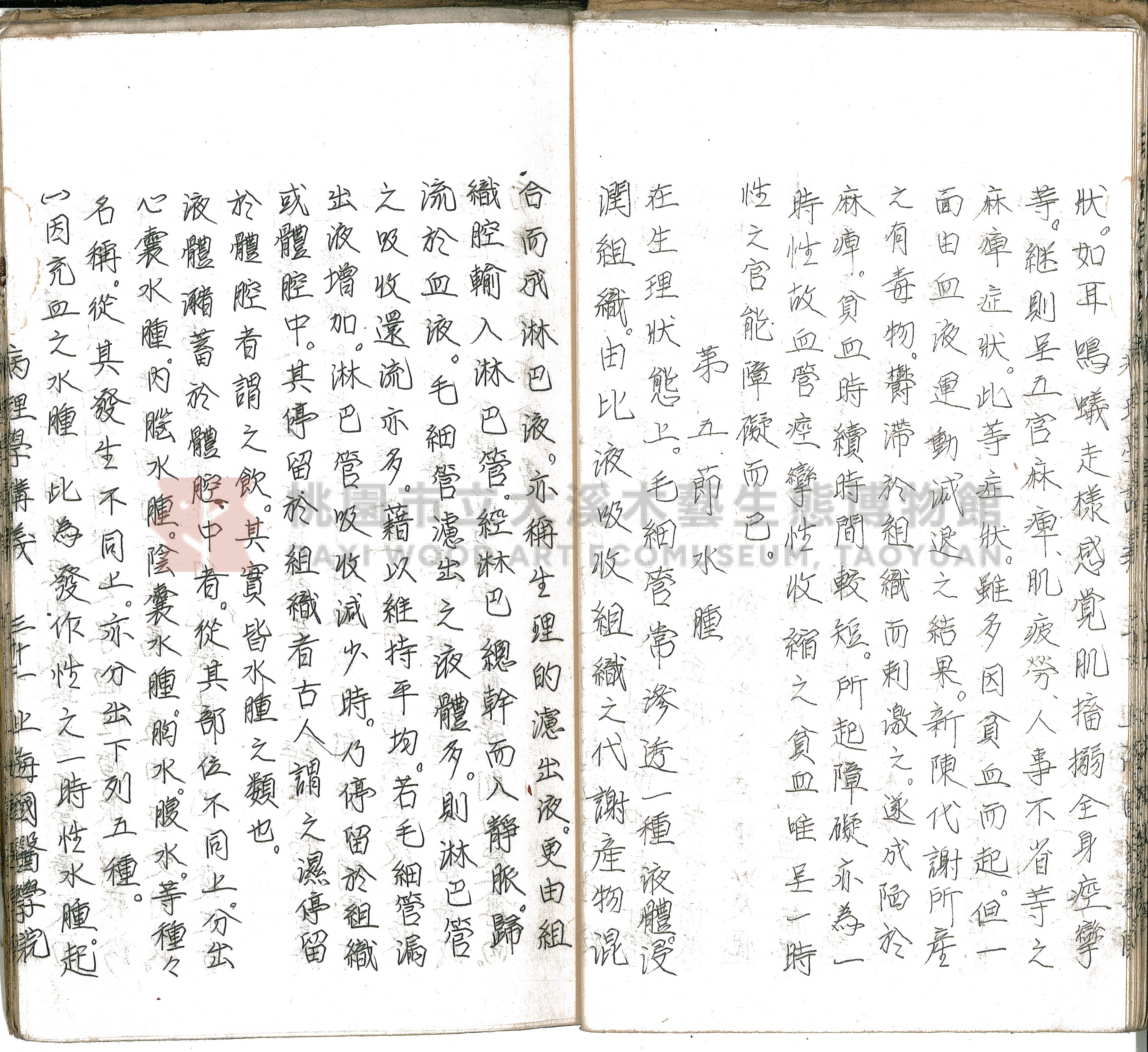 林長春抄寫《病理學講義》主題的圖片縮圖第36張